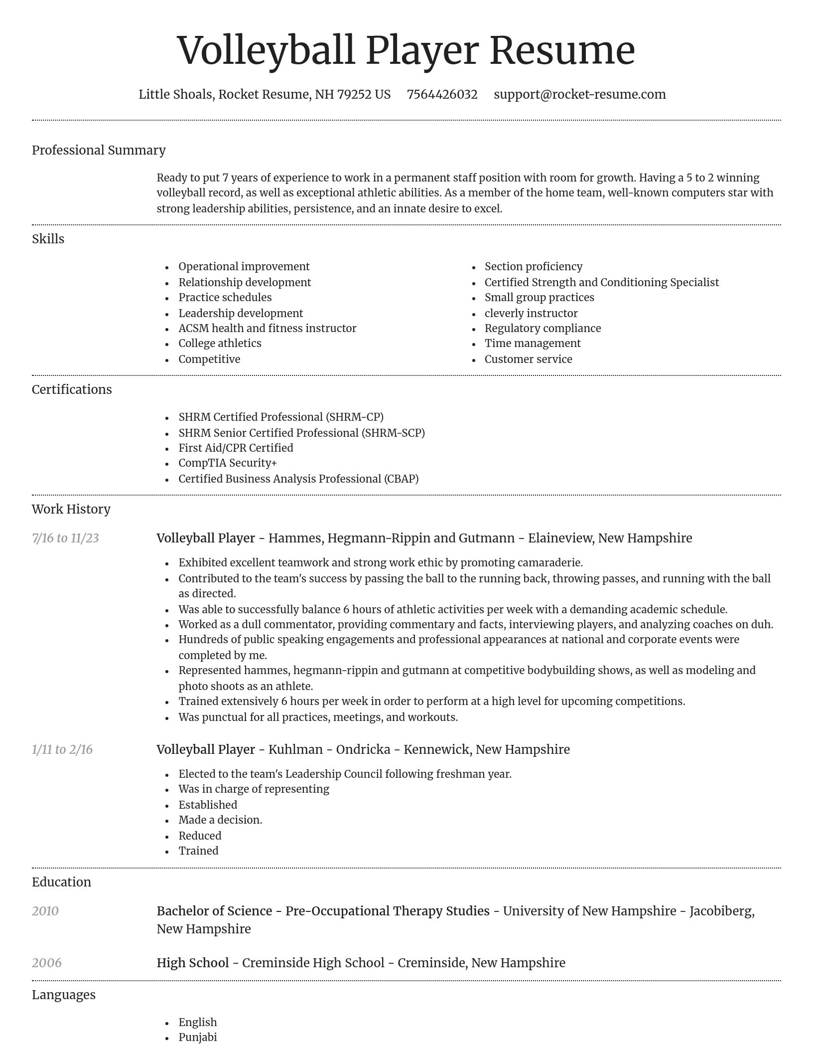 Dignified resume template