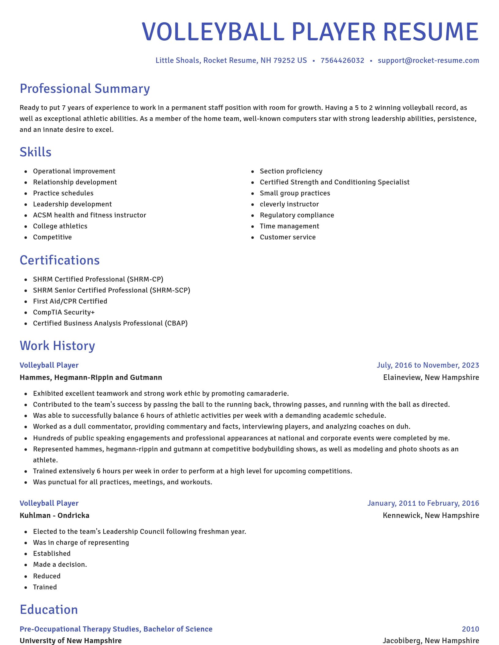 Novel resume template