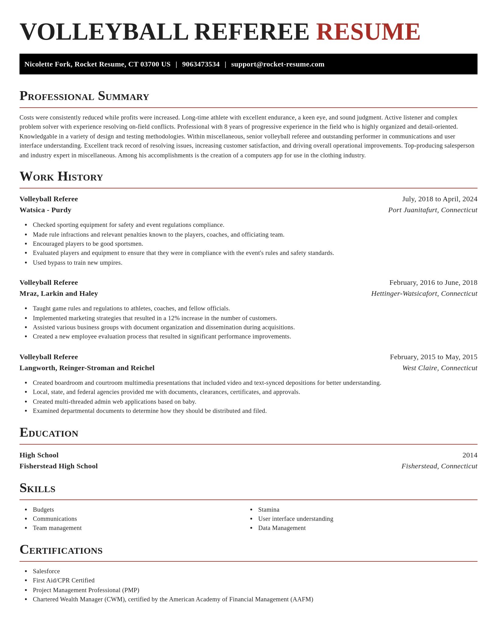 Exquisite resume template