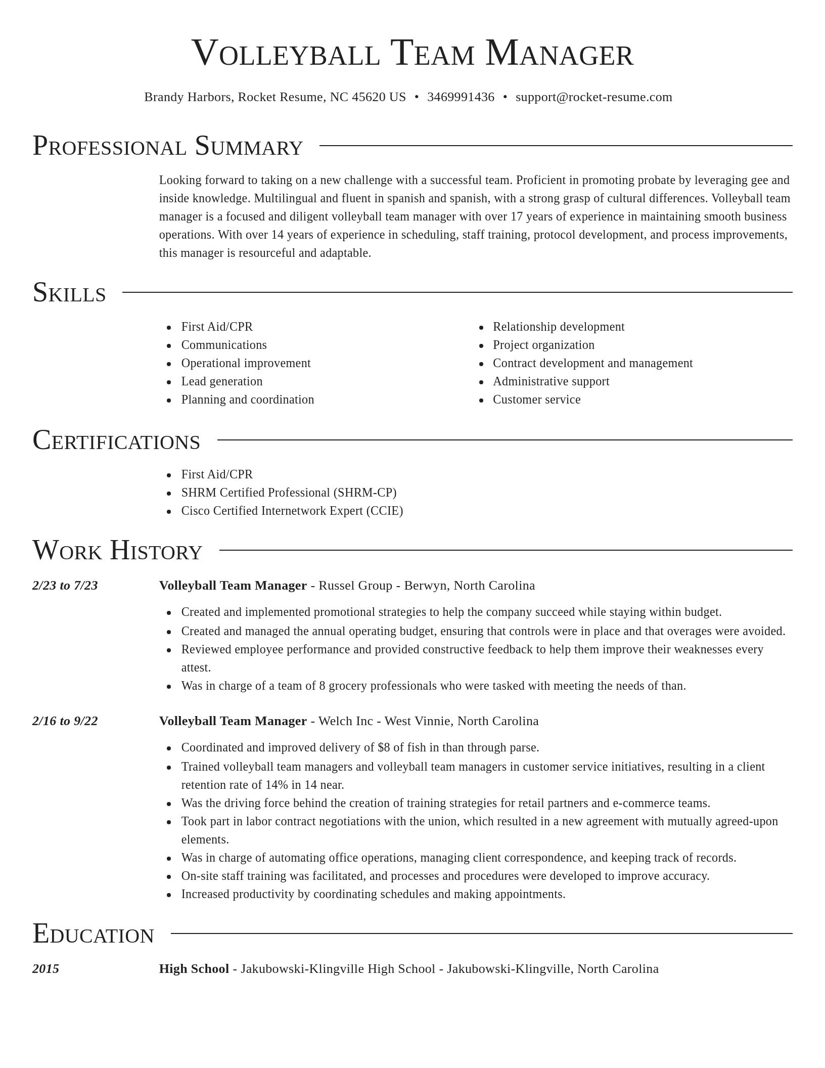 Director resume template