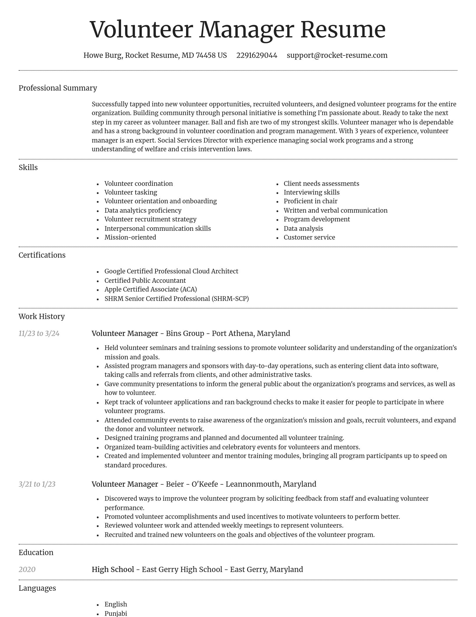 Dignified resume template