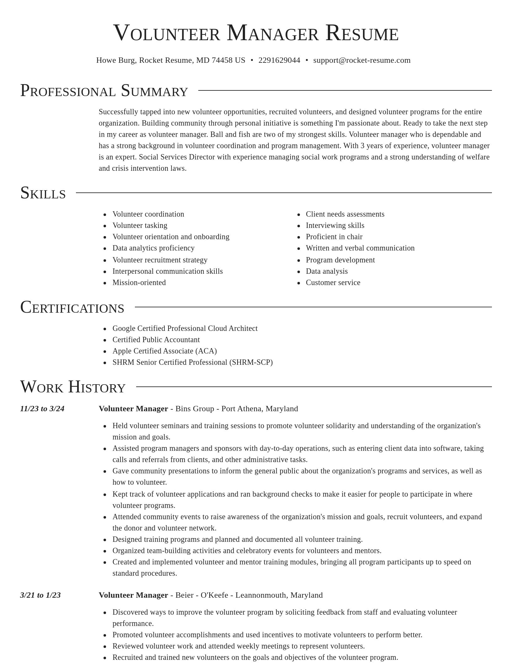 Director resume template