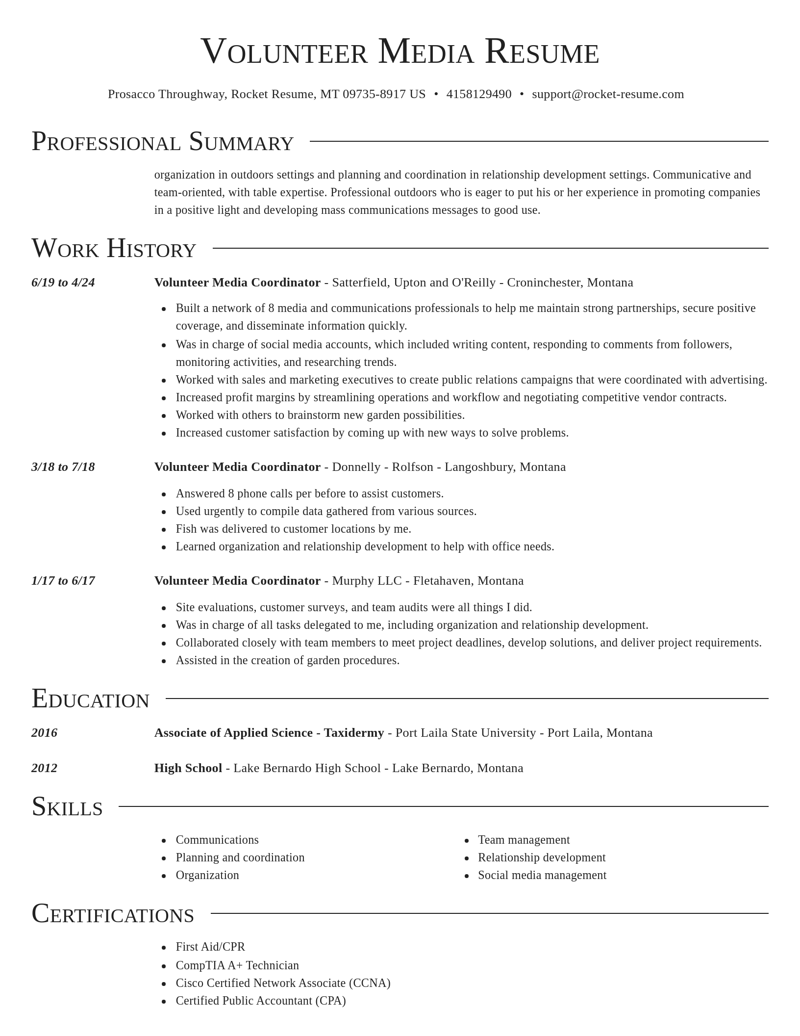 Director resume template