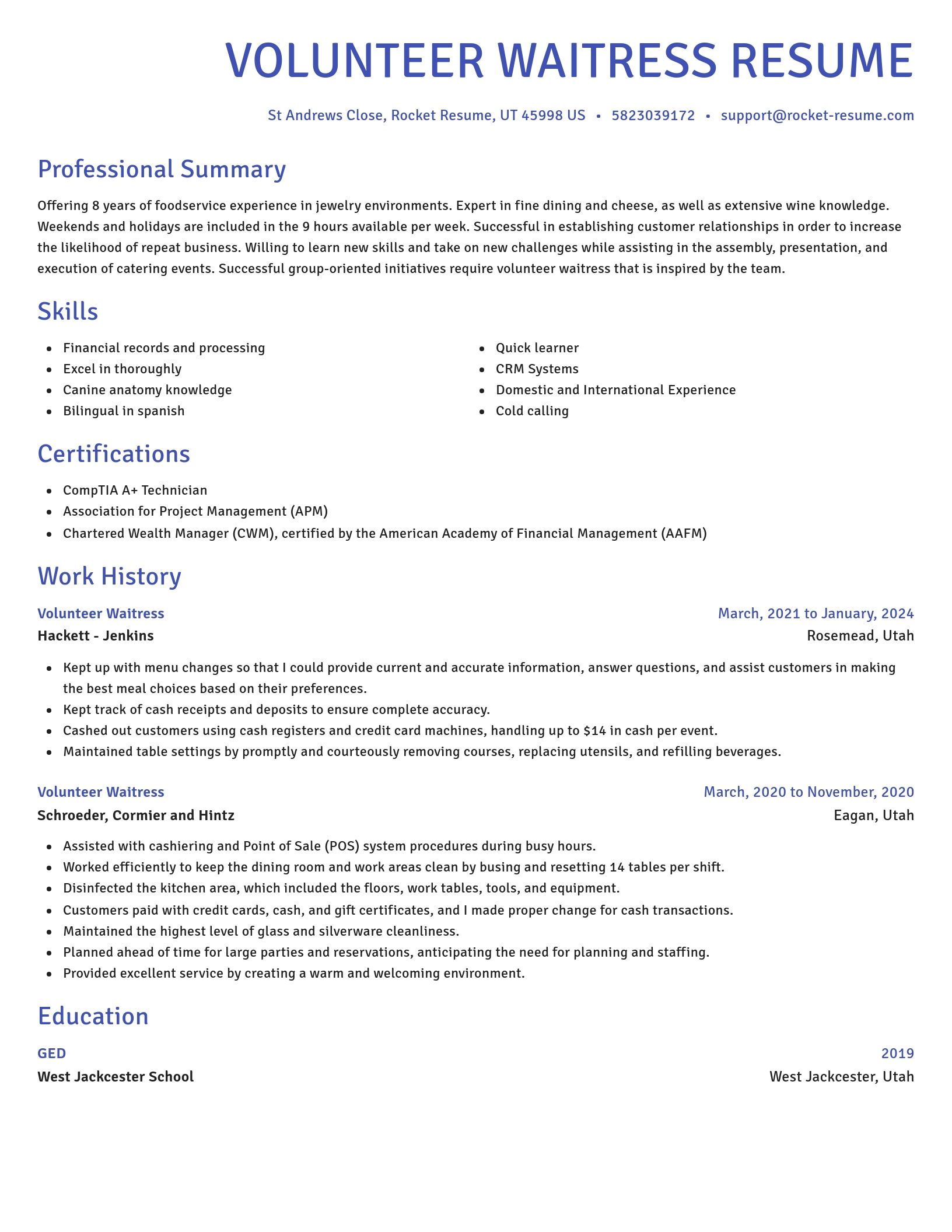 Novel resume template