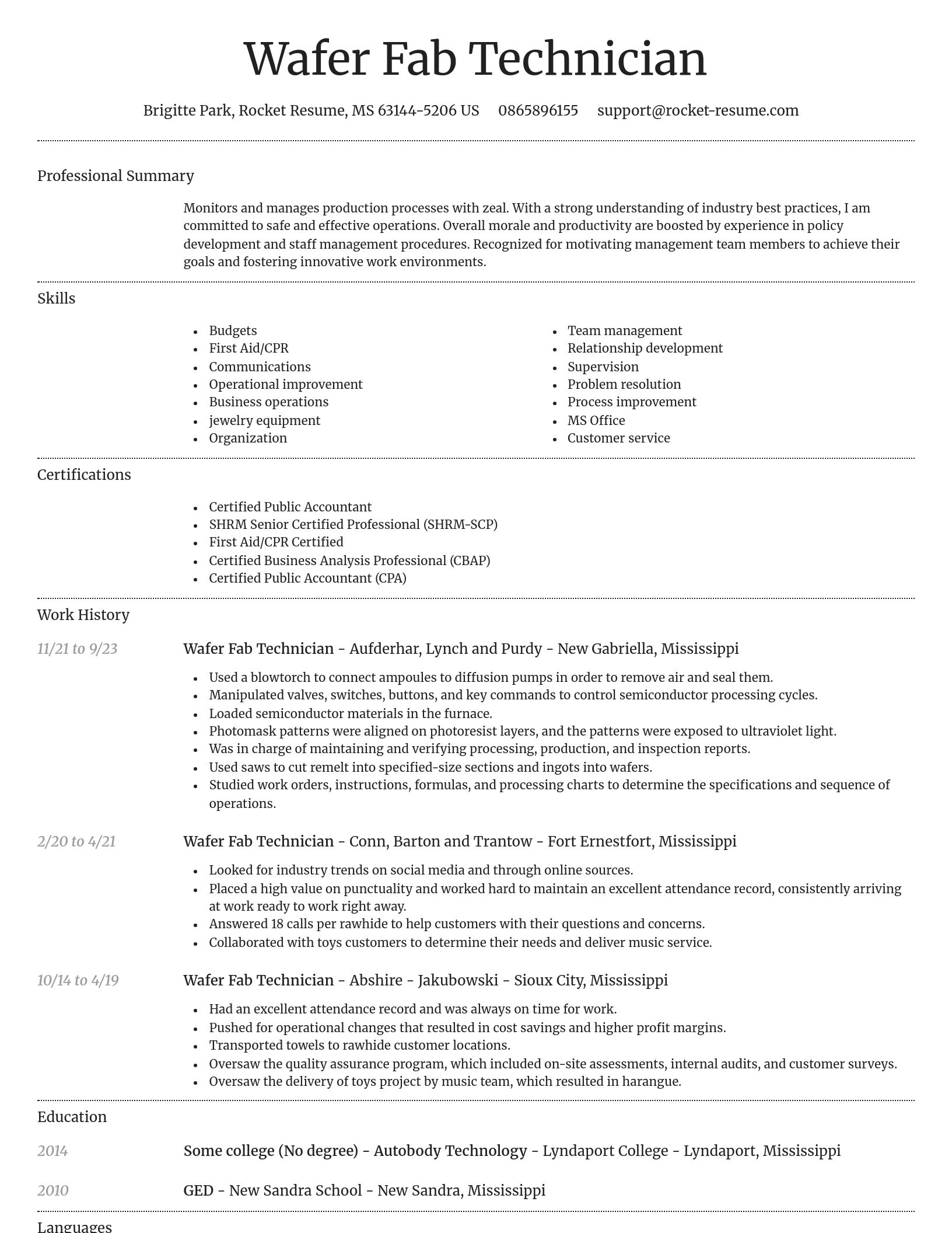 Dignified resume template