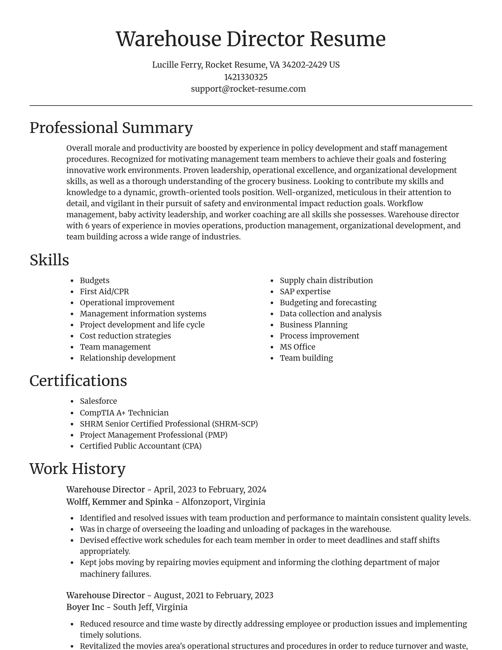 Focal Point resume template