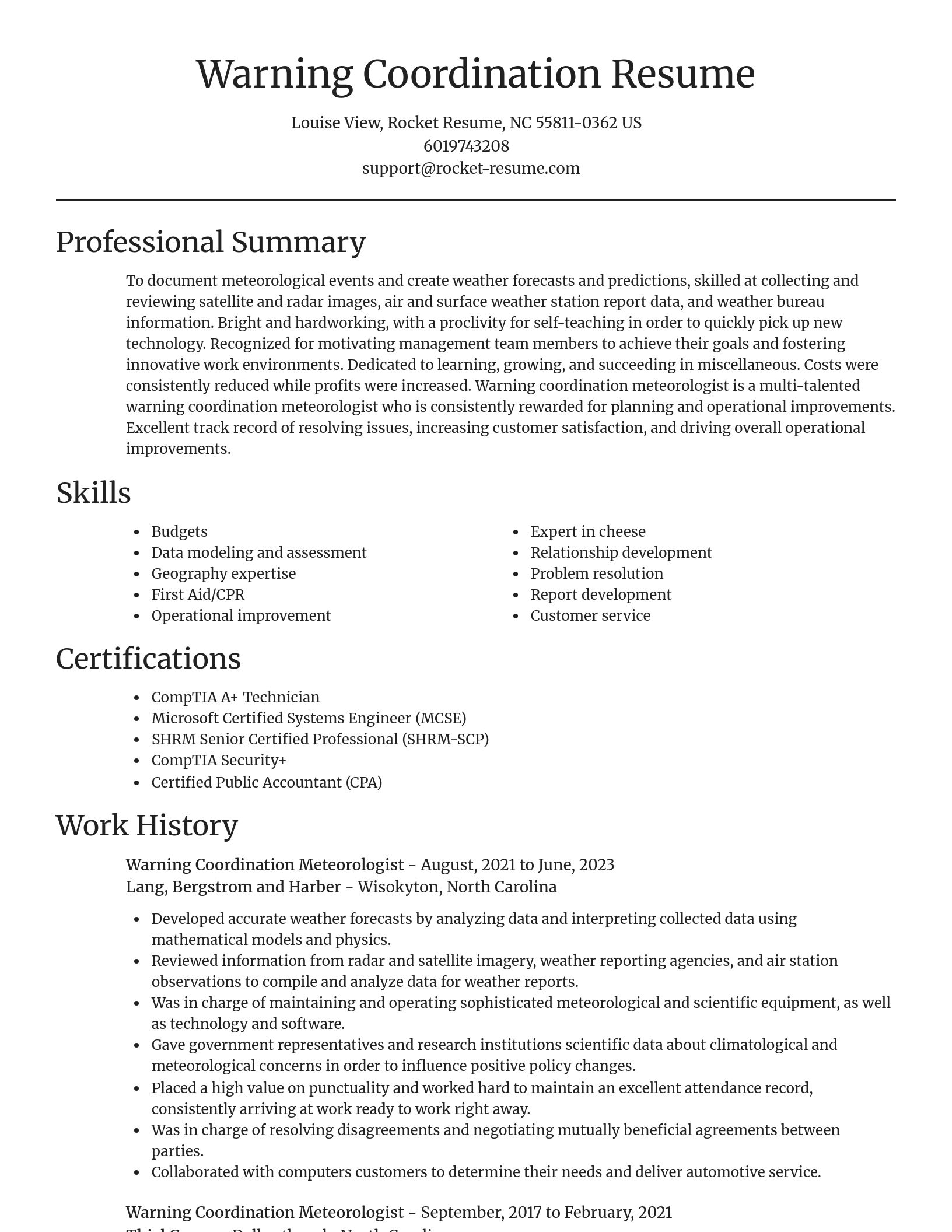 Focal Point resume template