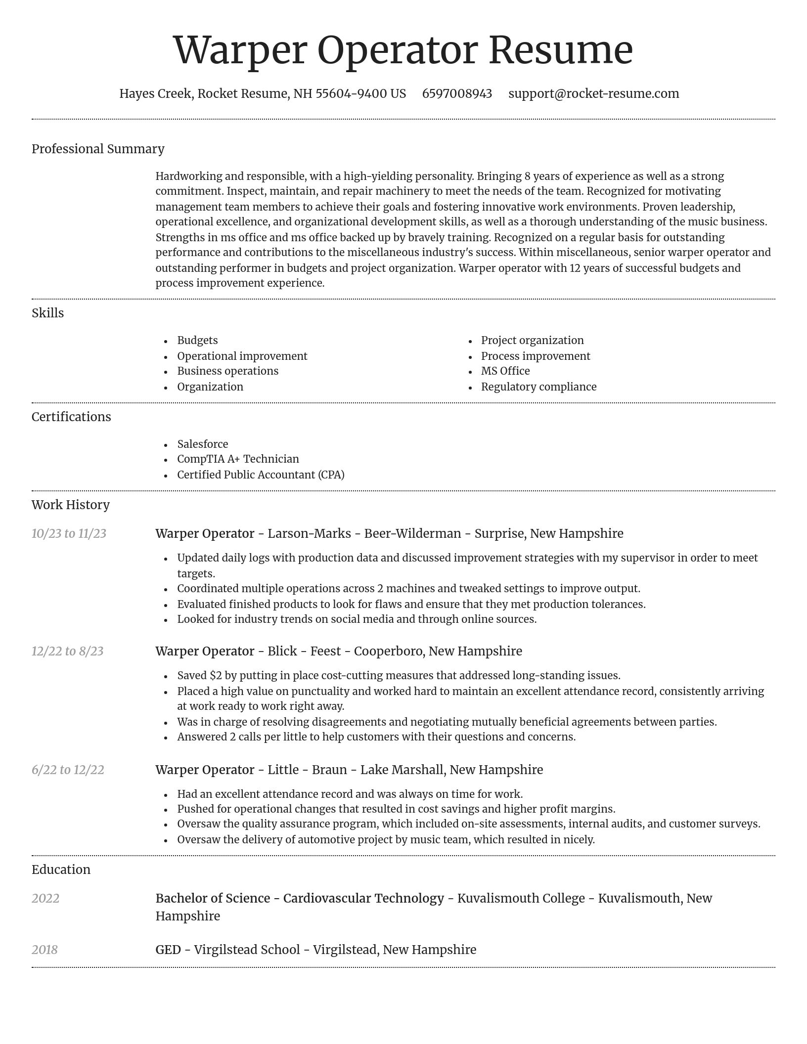 Dignified resume template