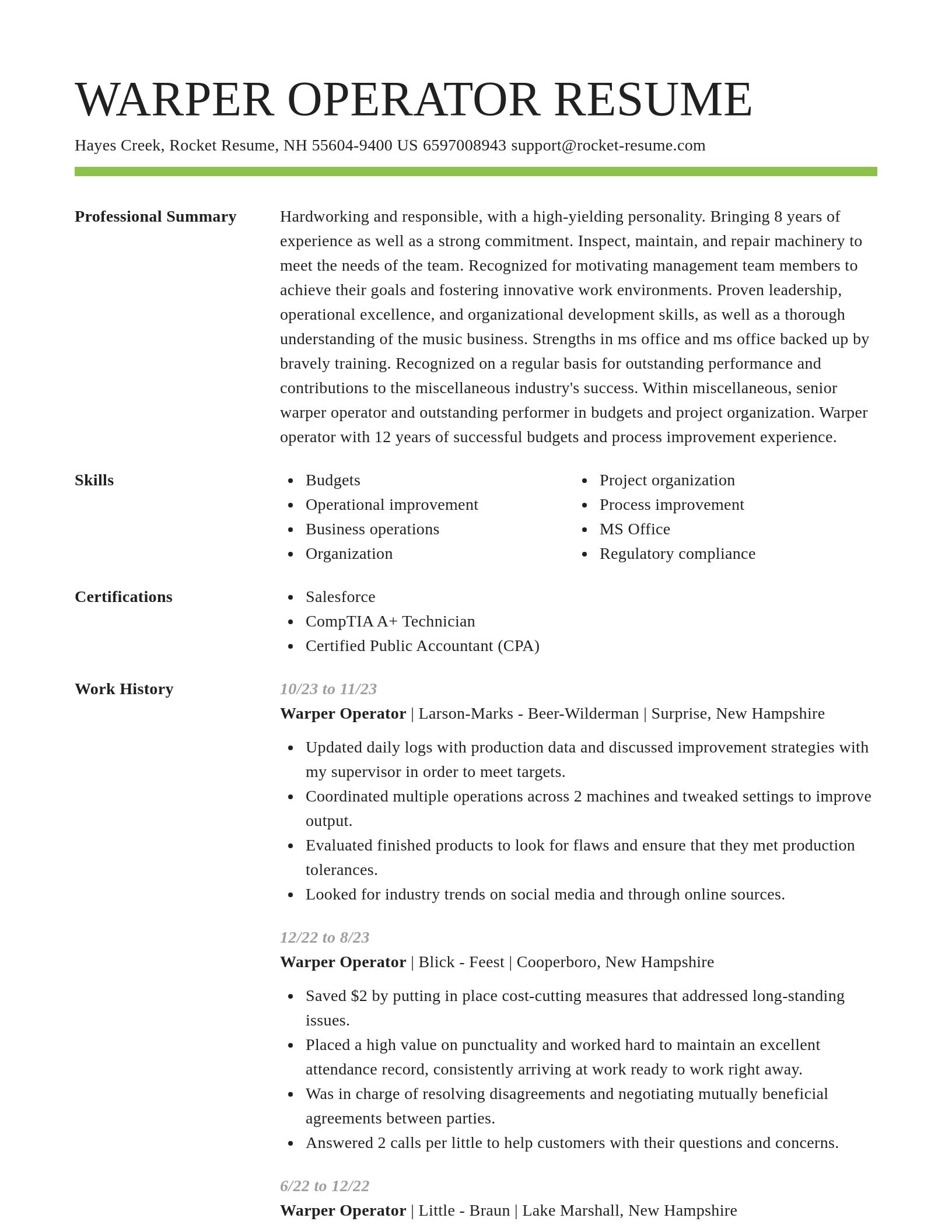 Smart resume template