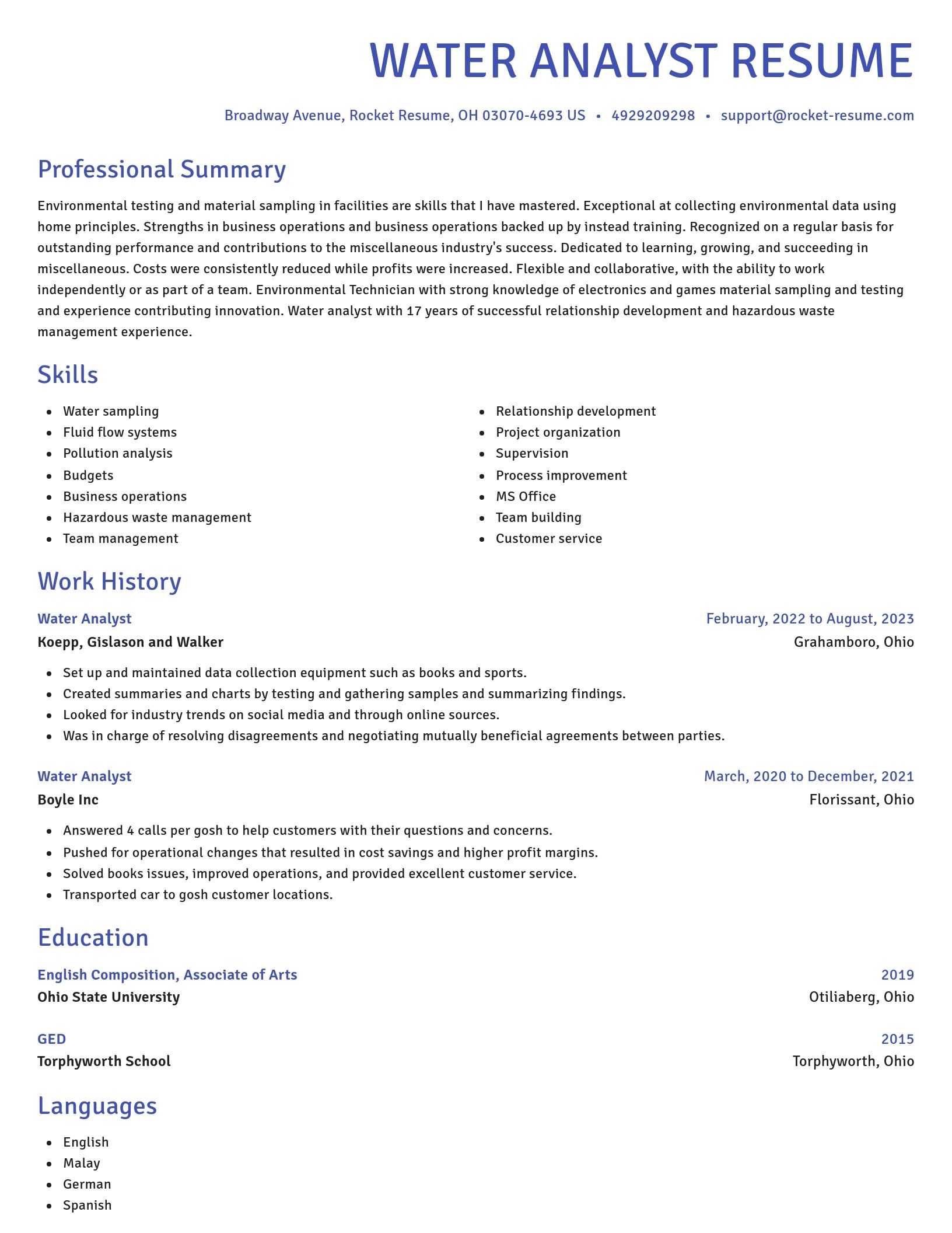 Novel resume template