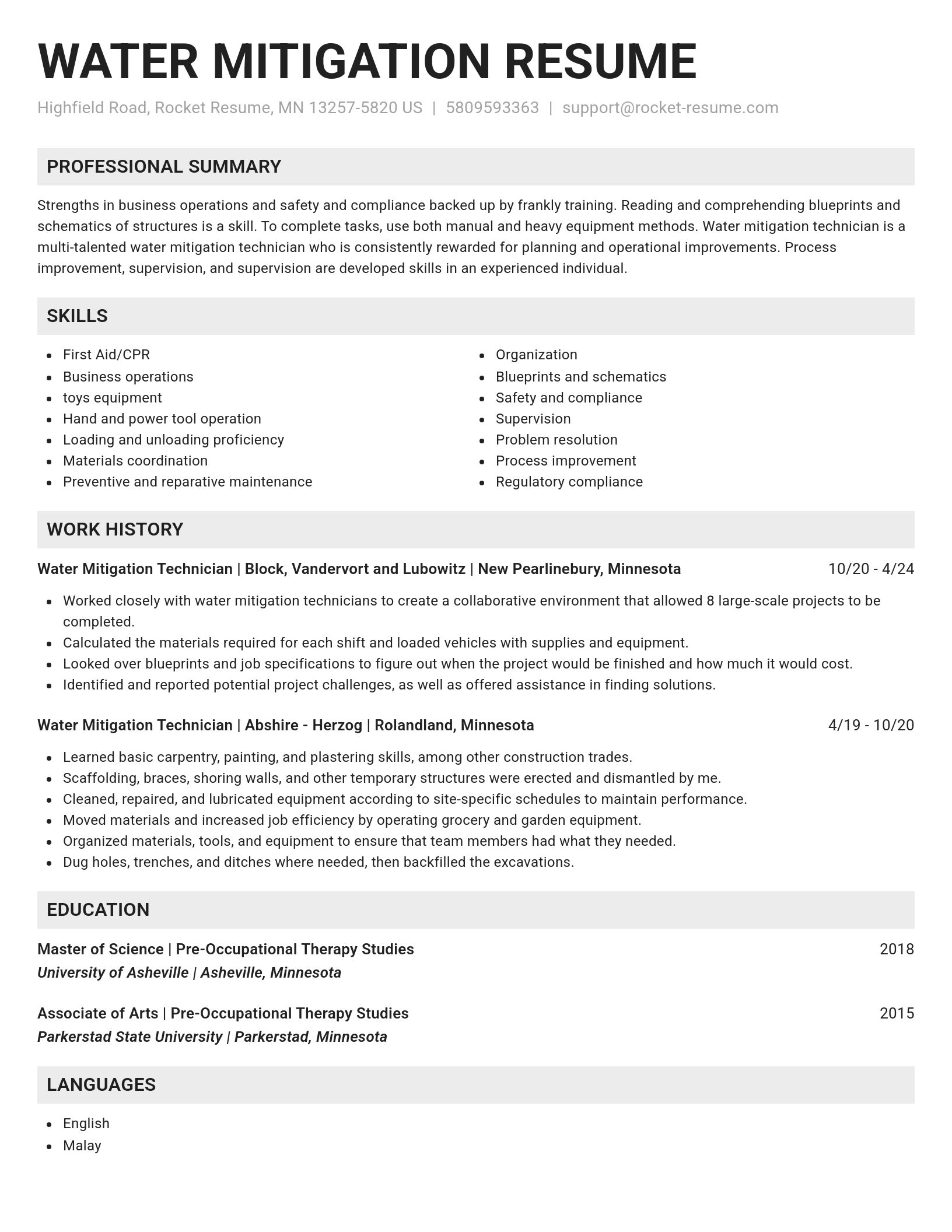Genius resume template