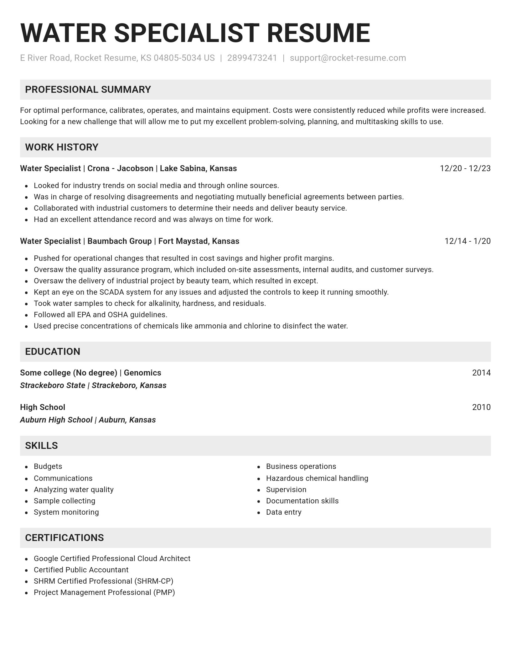 Genius resume template