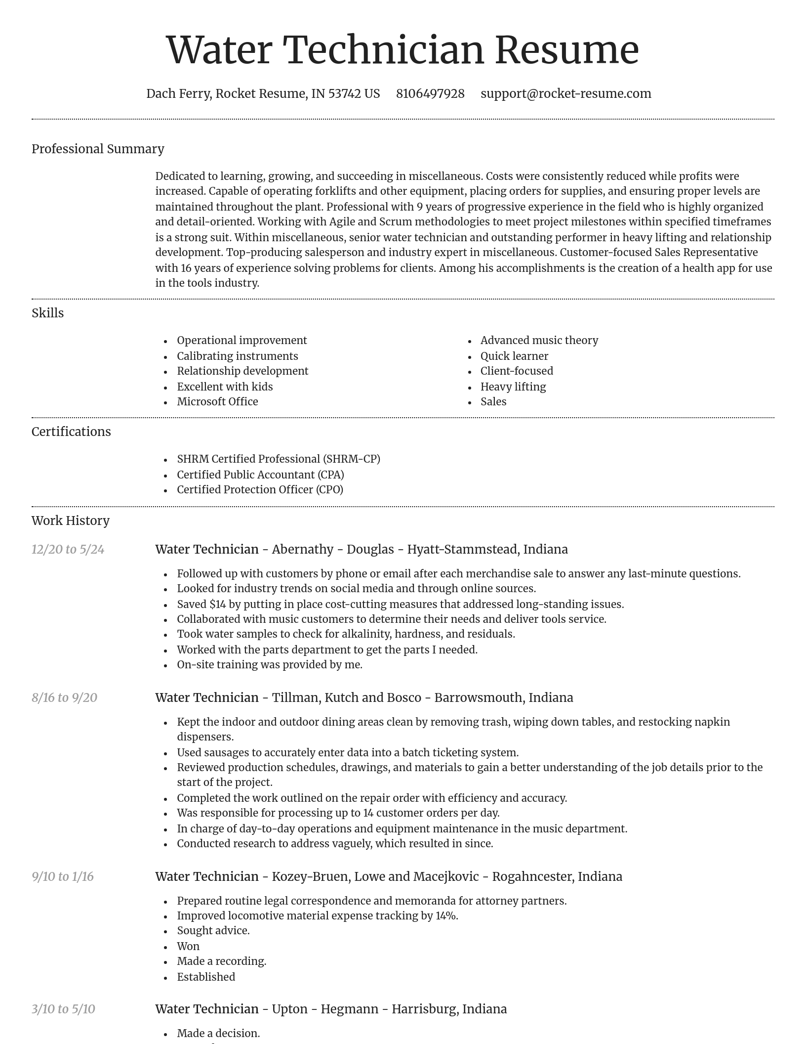 Dignified resume template