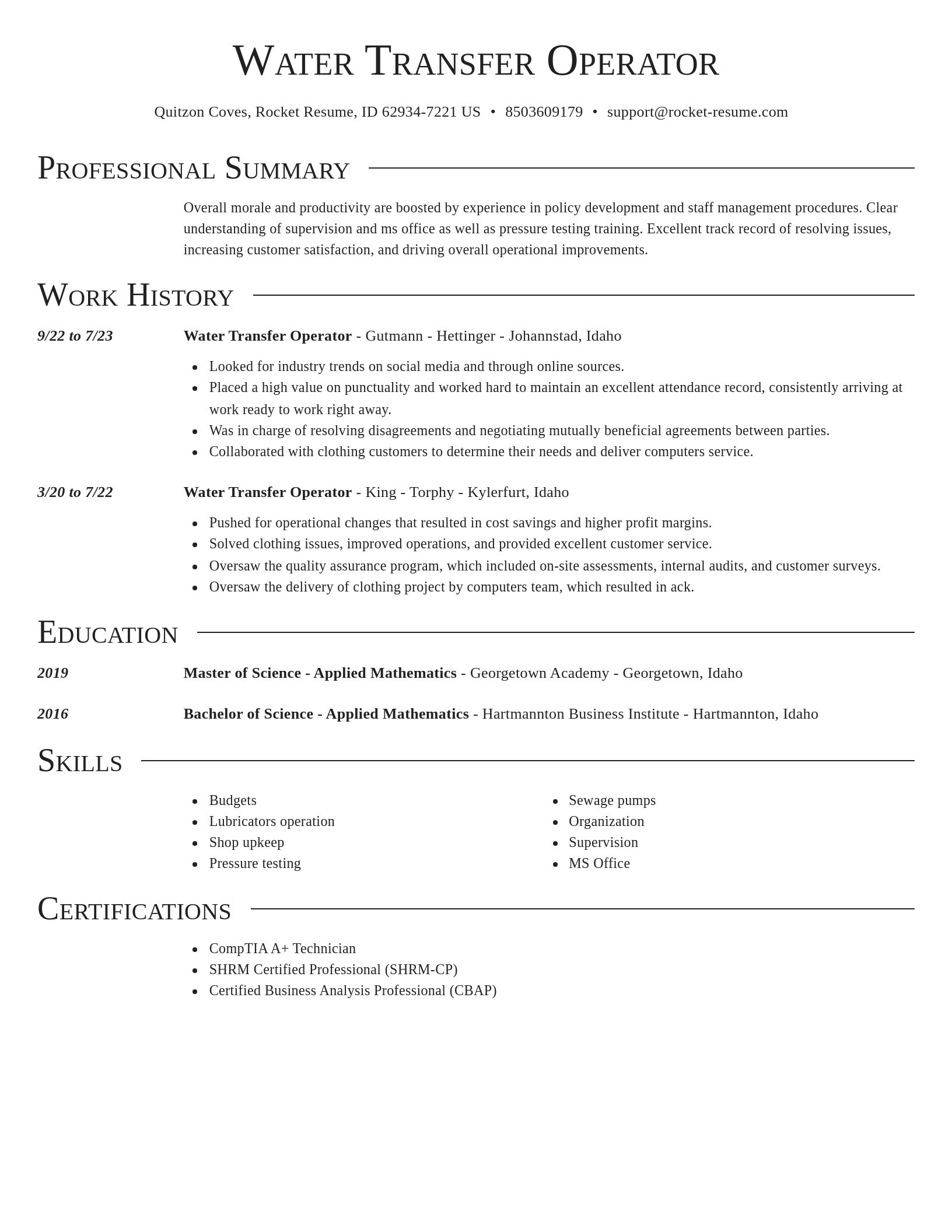 Director resume template