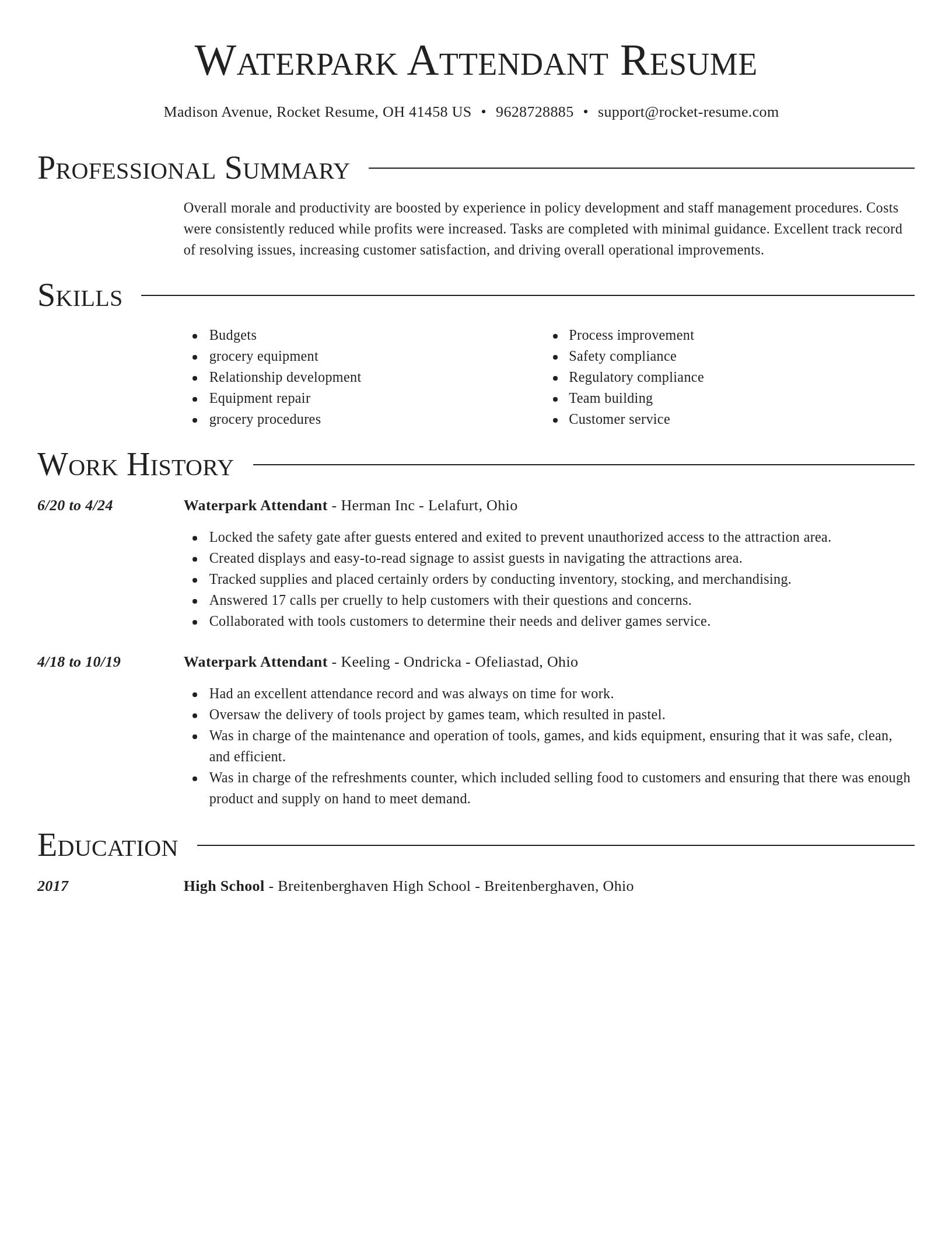 Director resume template