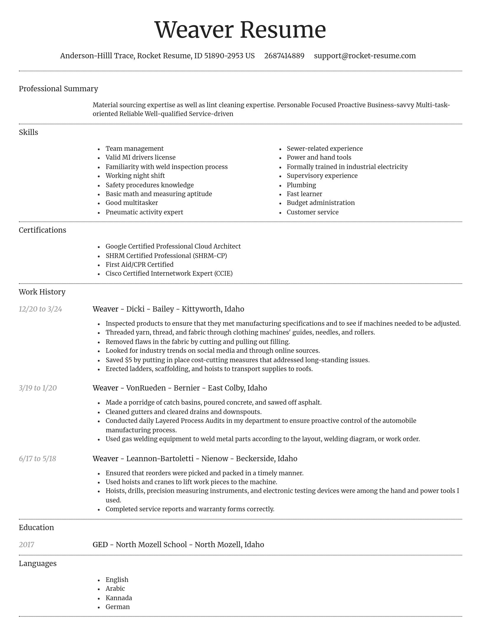 Dignified resume template