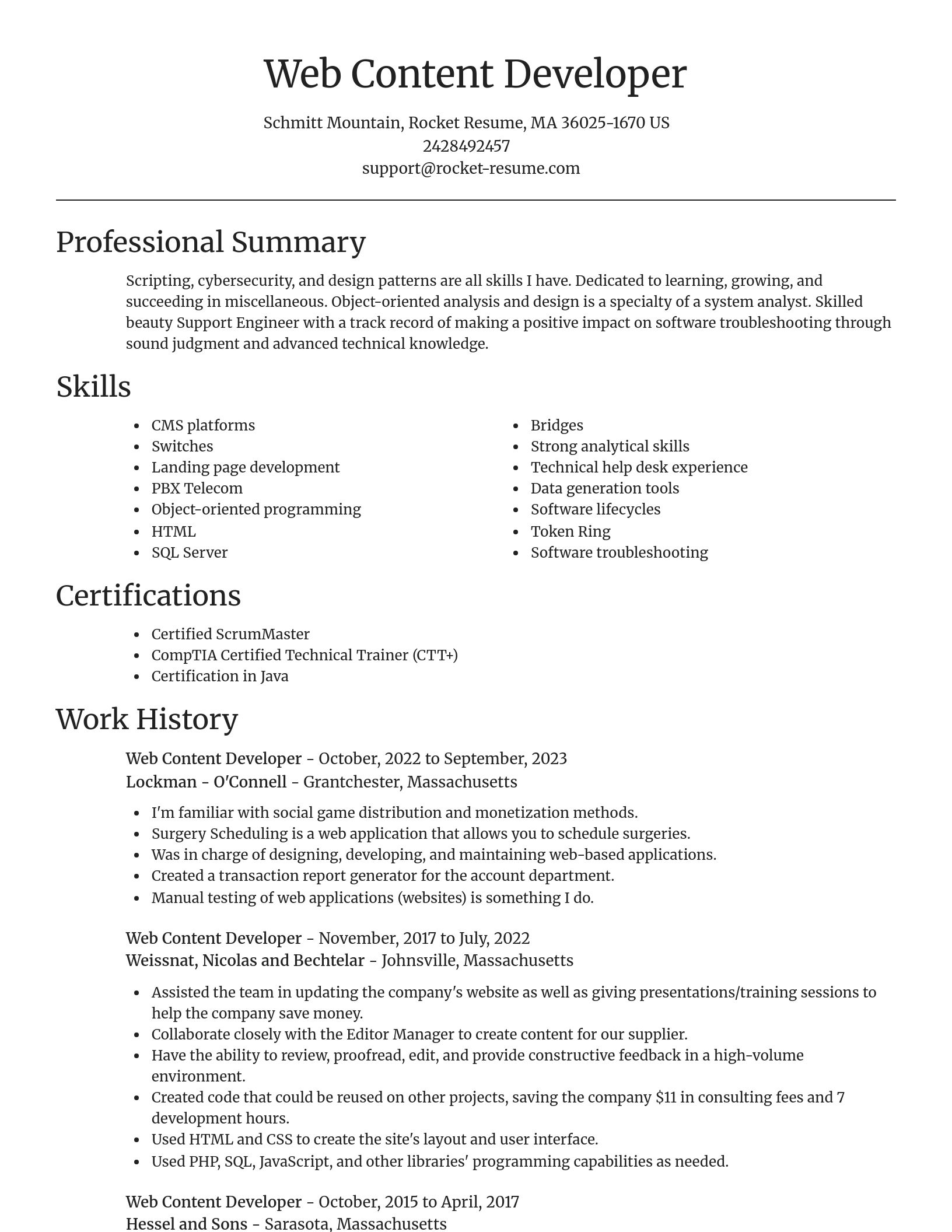 Focal Point resume template