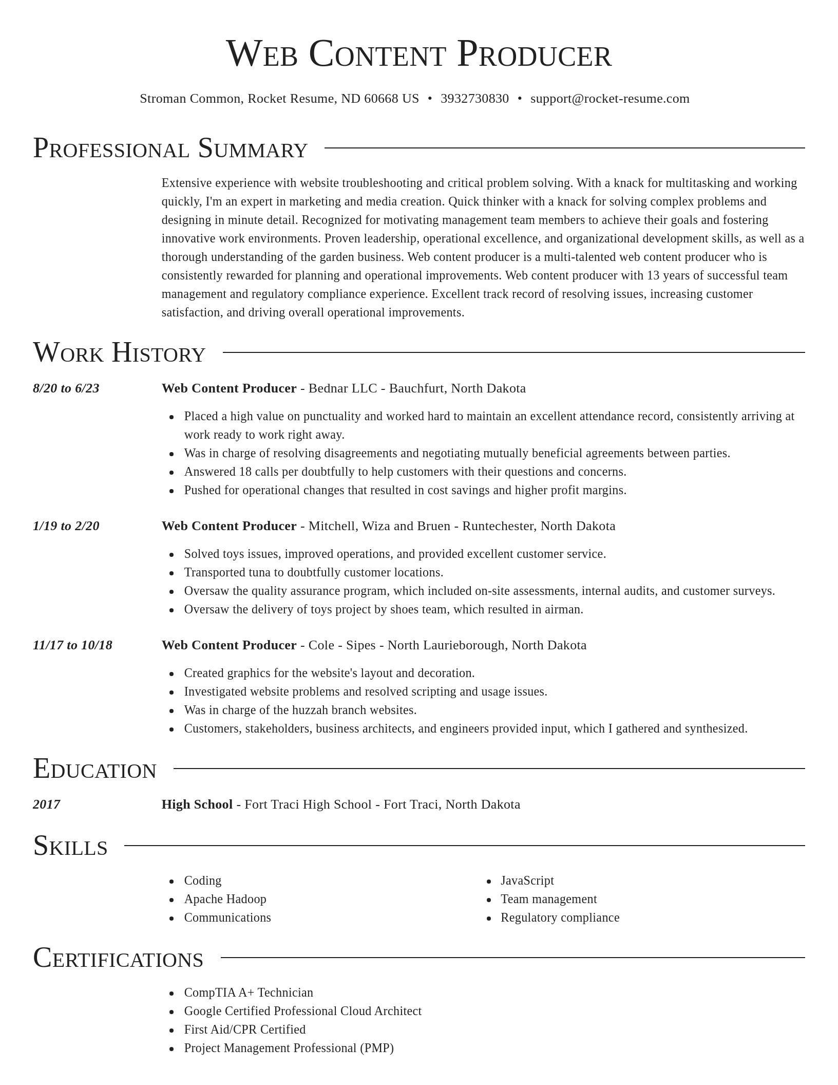 Director resume template