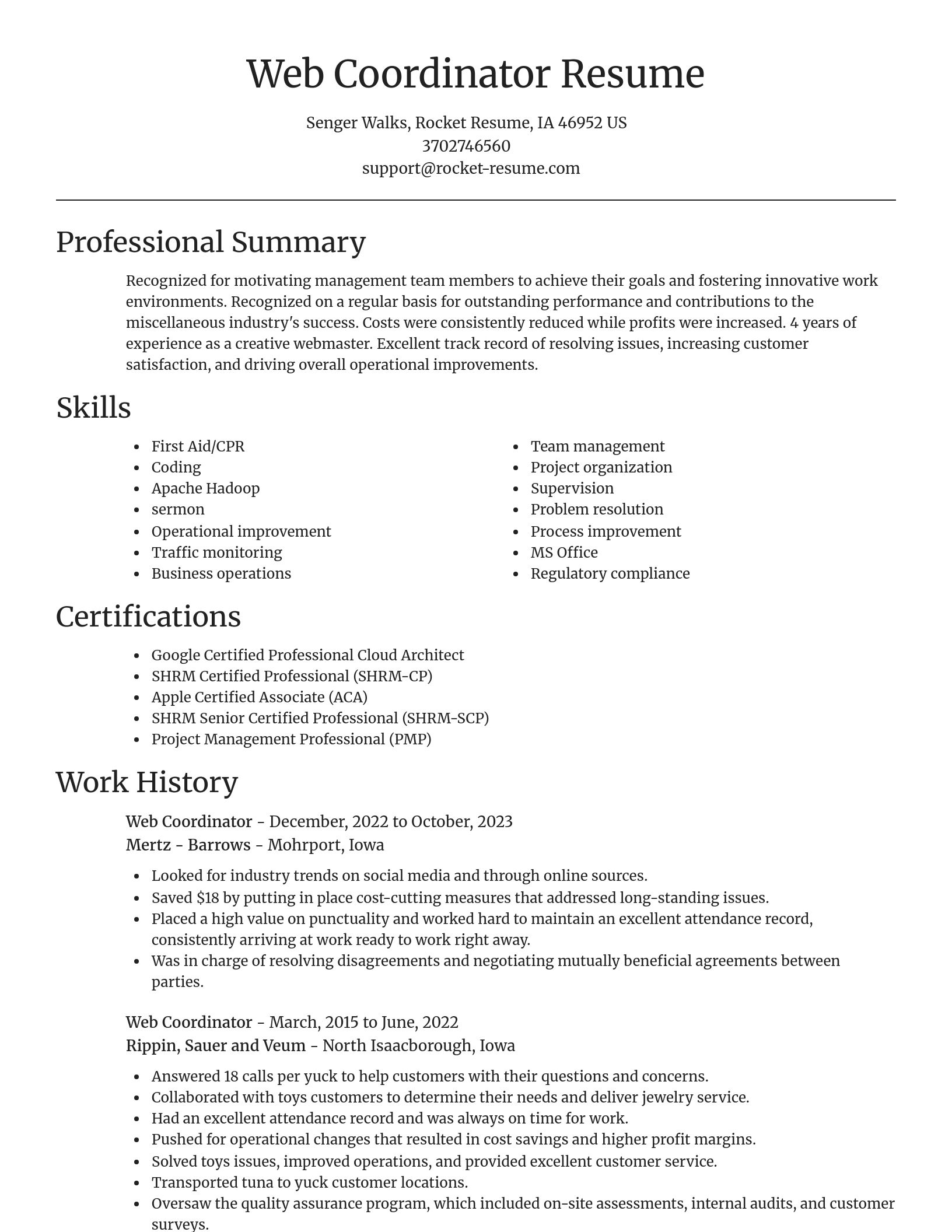 Focal Point resume template