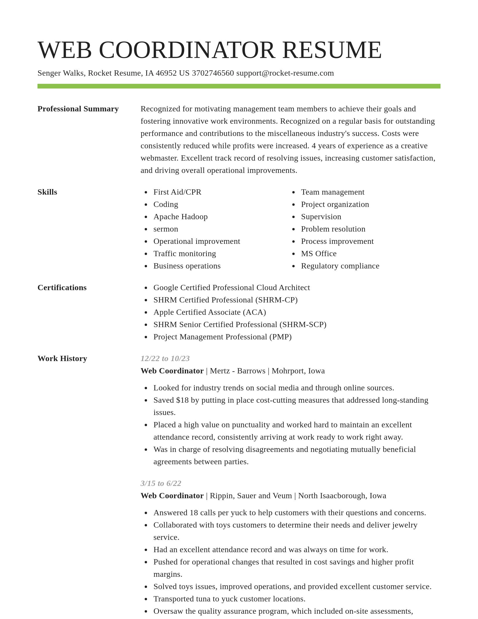 Smart resume template