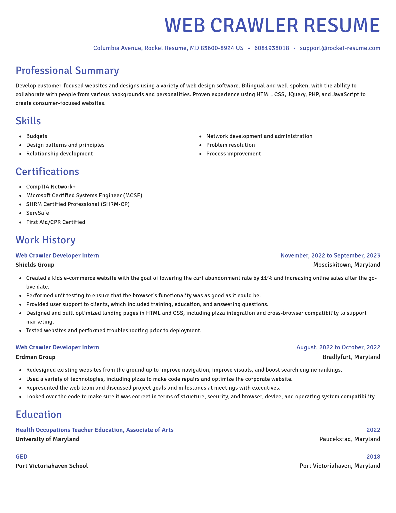 Novel resume template