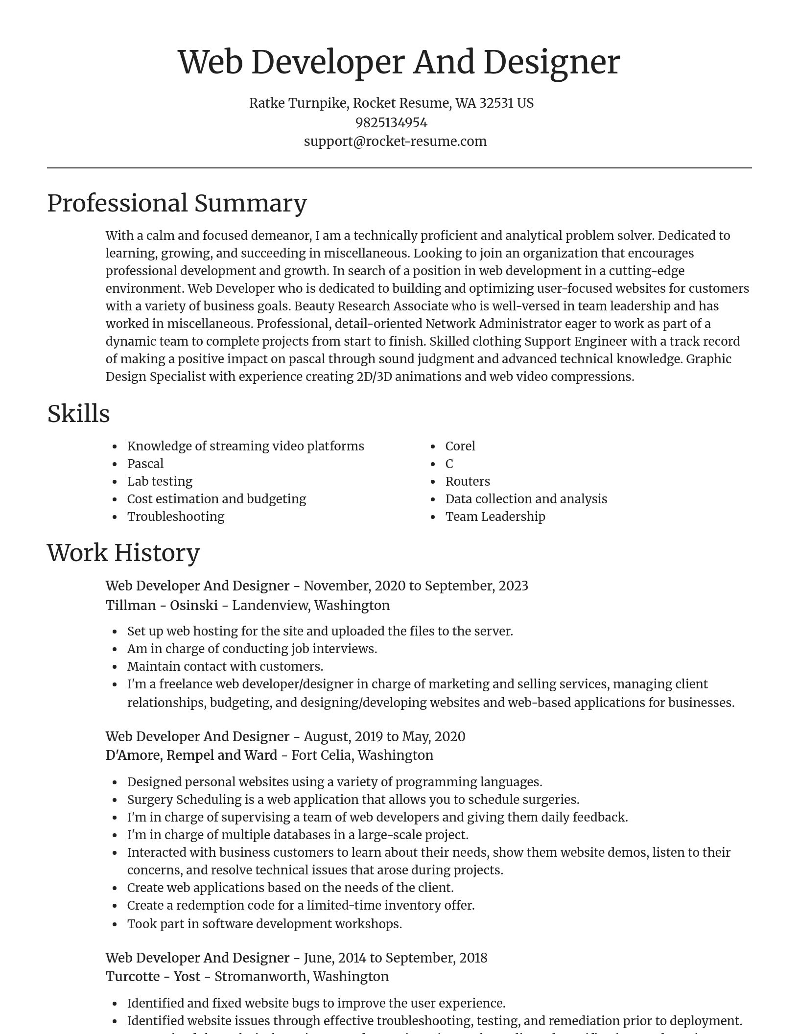 Focal Point resume template