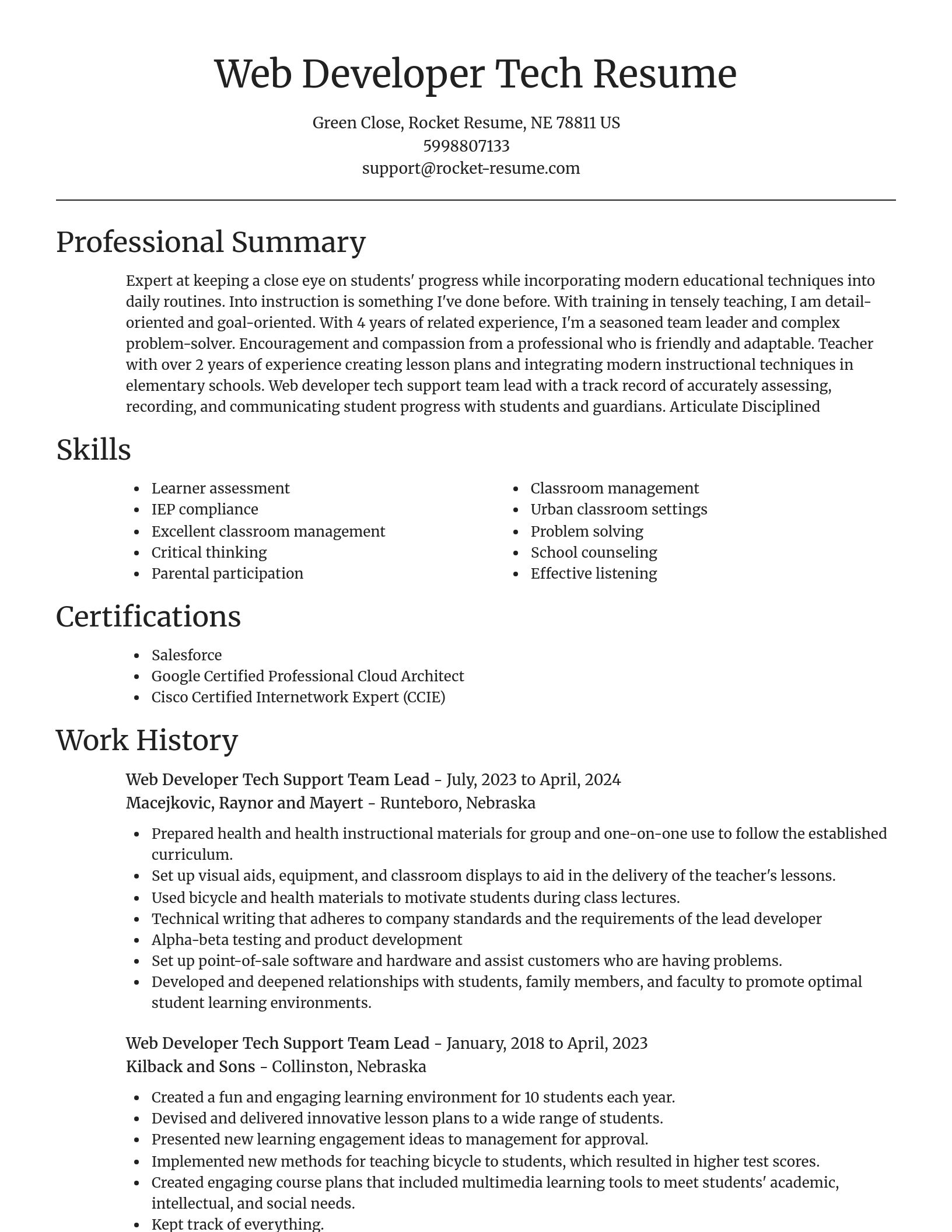 Focal Point resume template