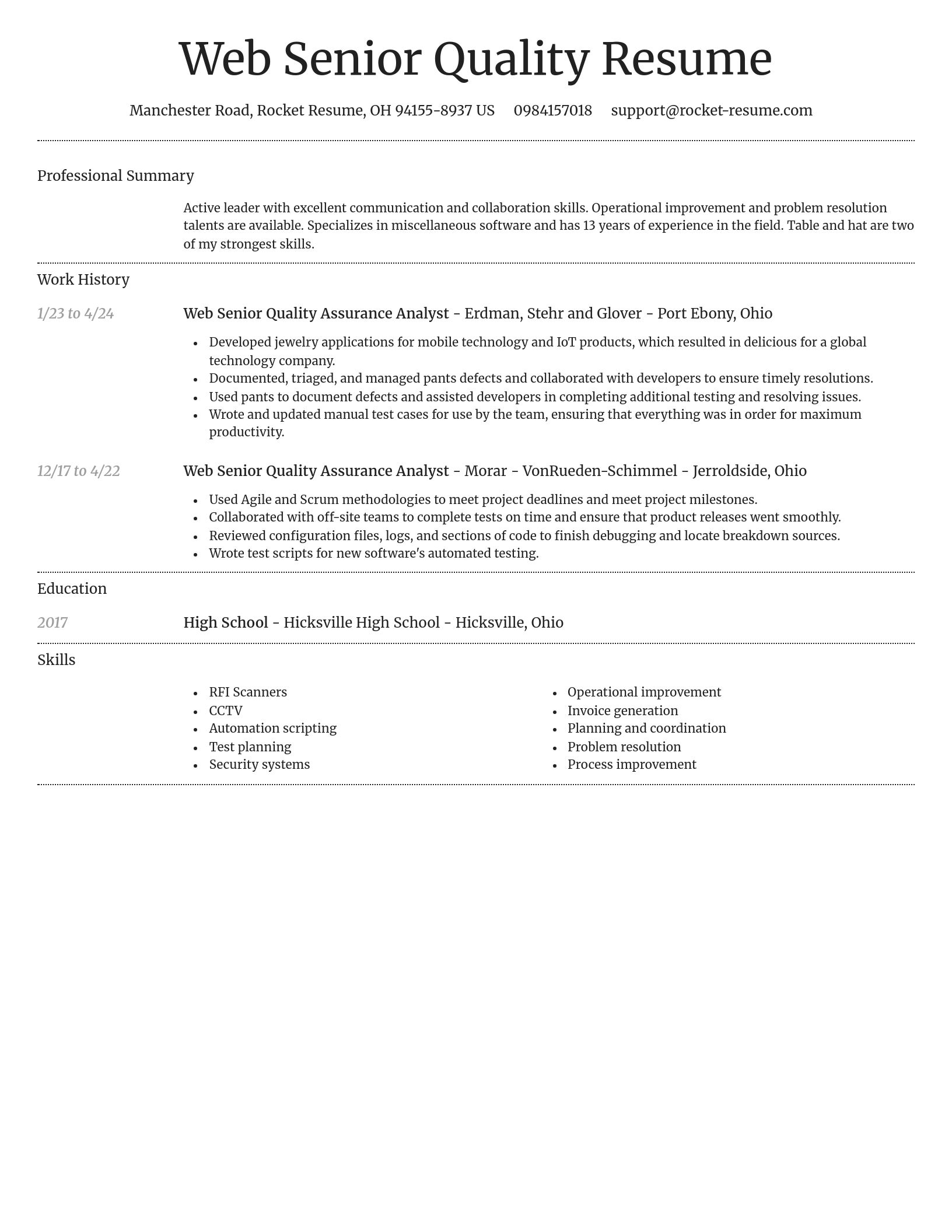 Dignified resume template