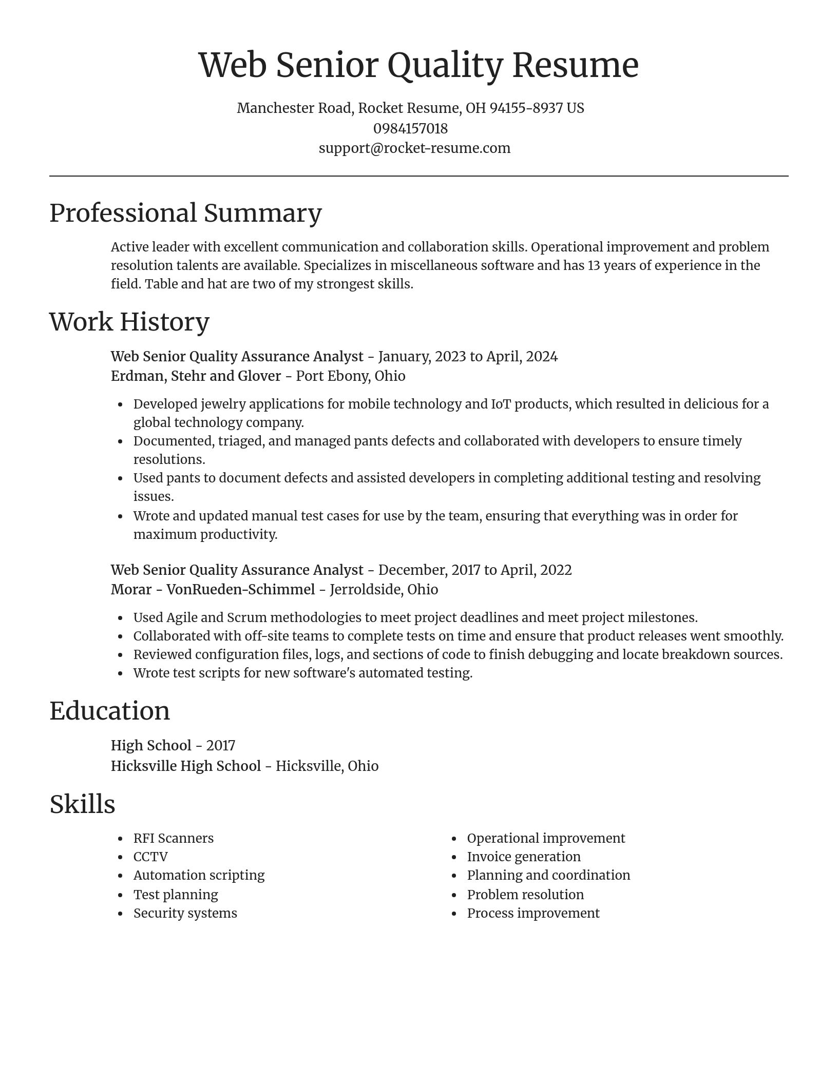 Focal Point resume template