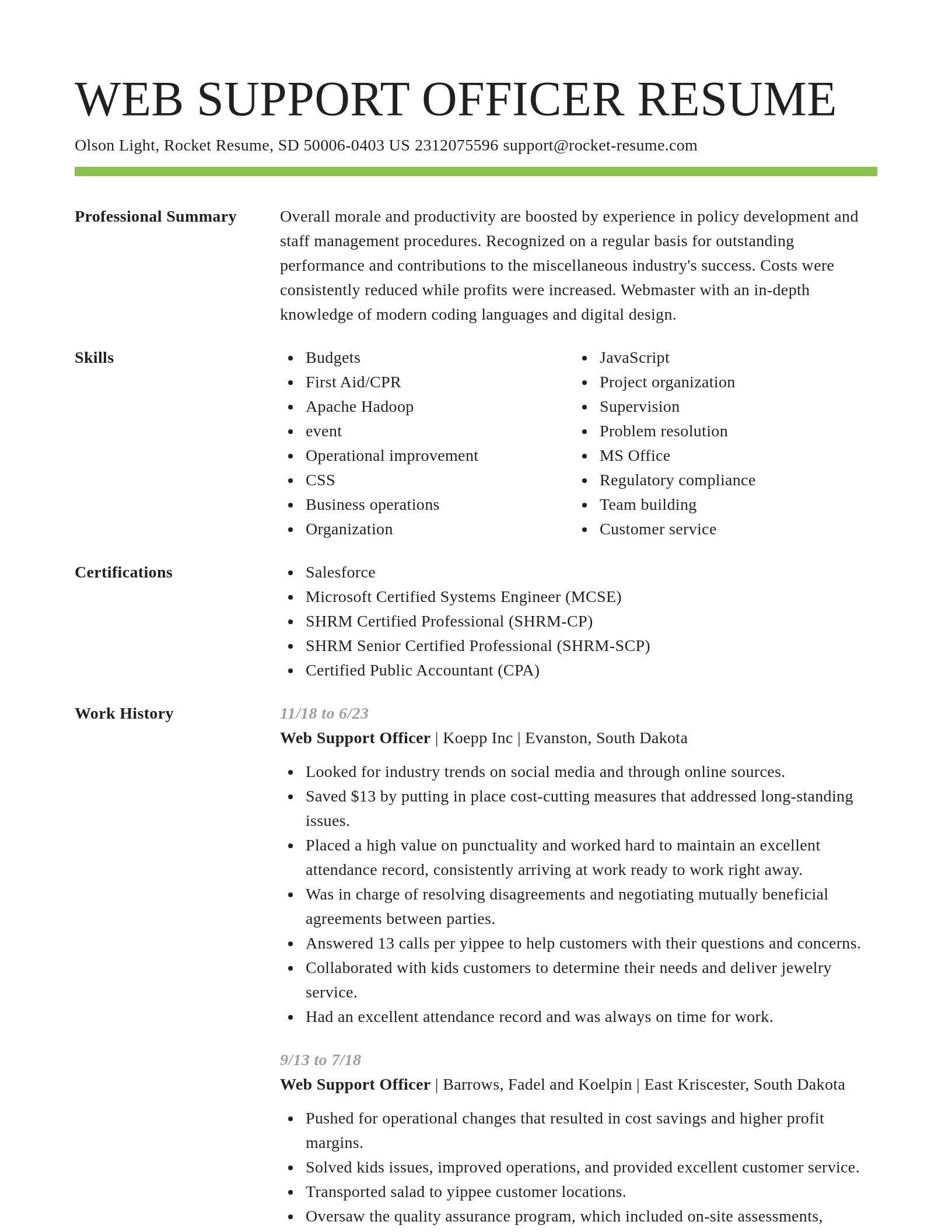 Smart resume template