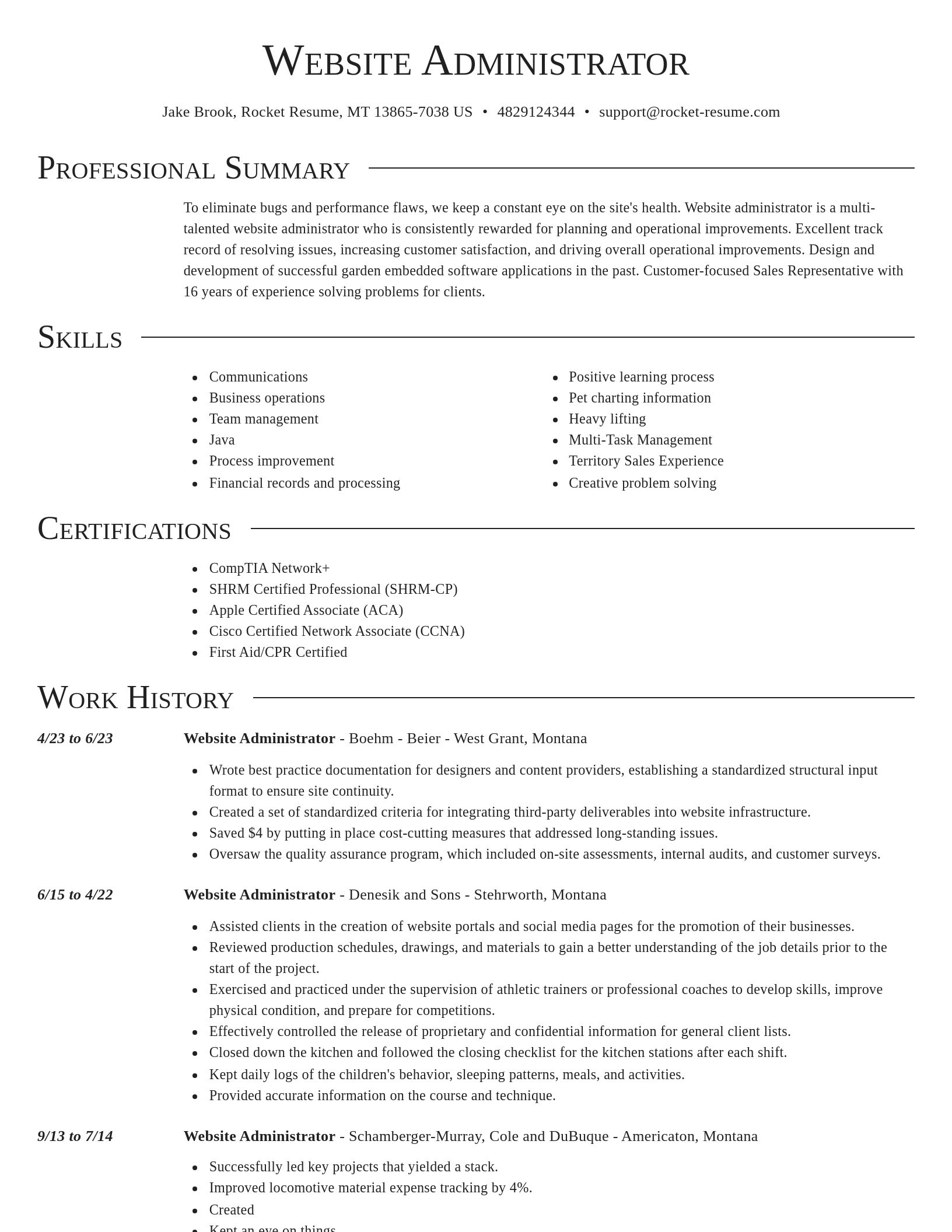Director resume template