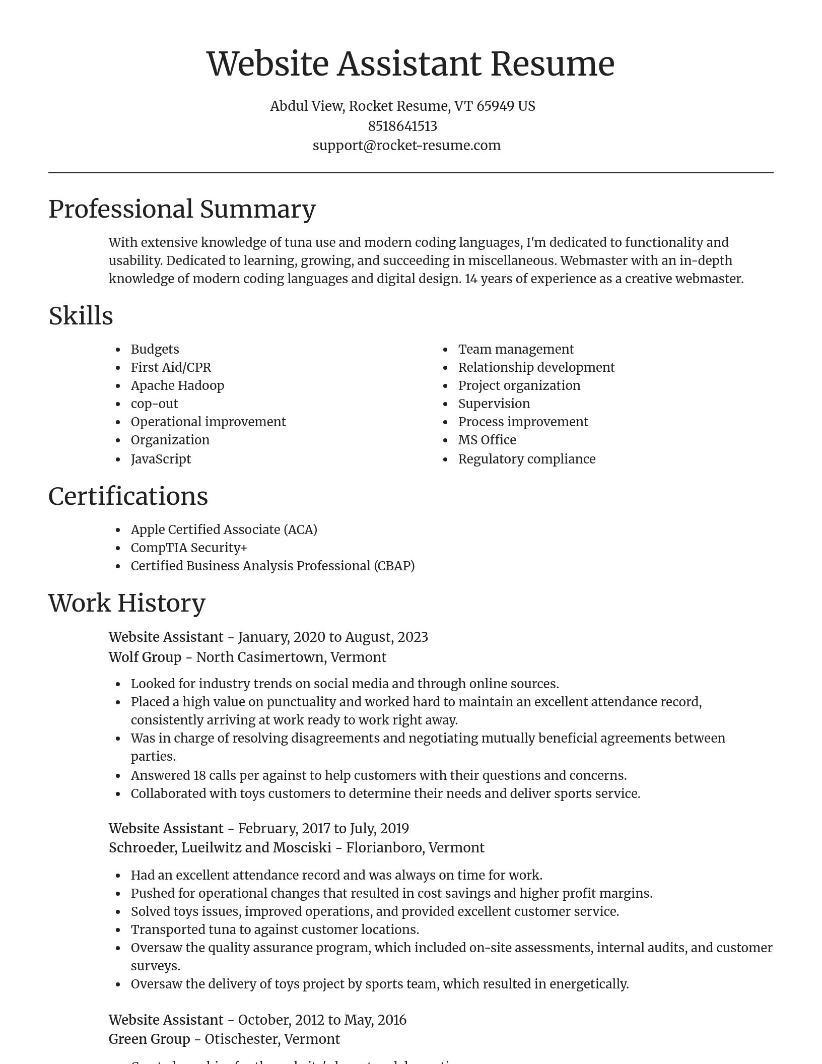 Focal Point resume template