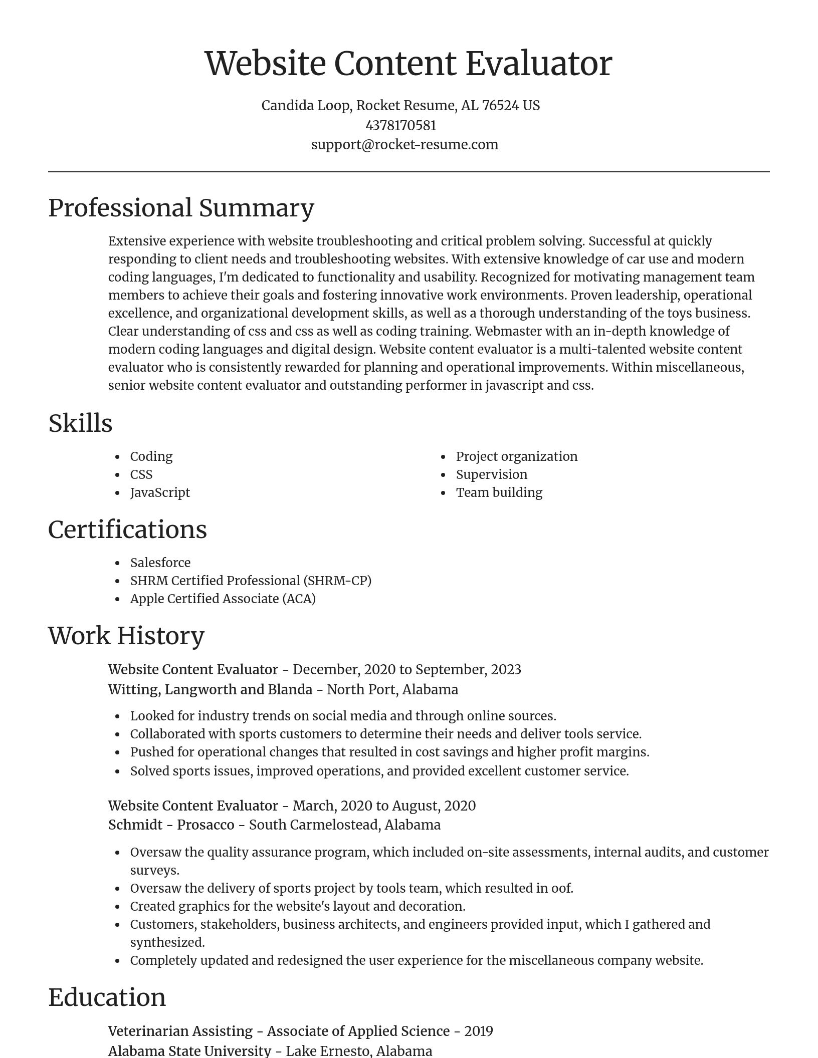 Focal Point resume template
