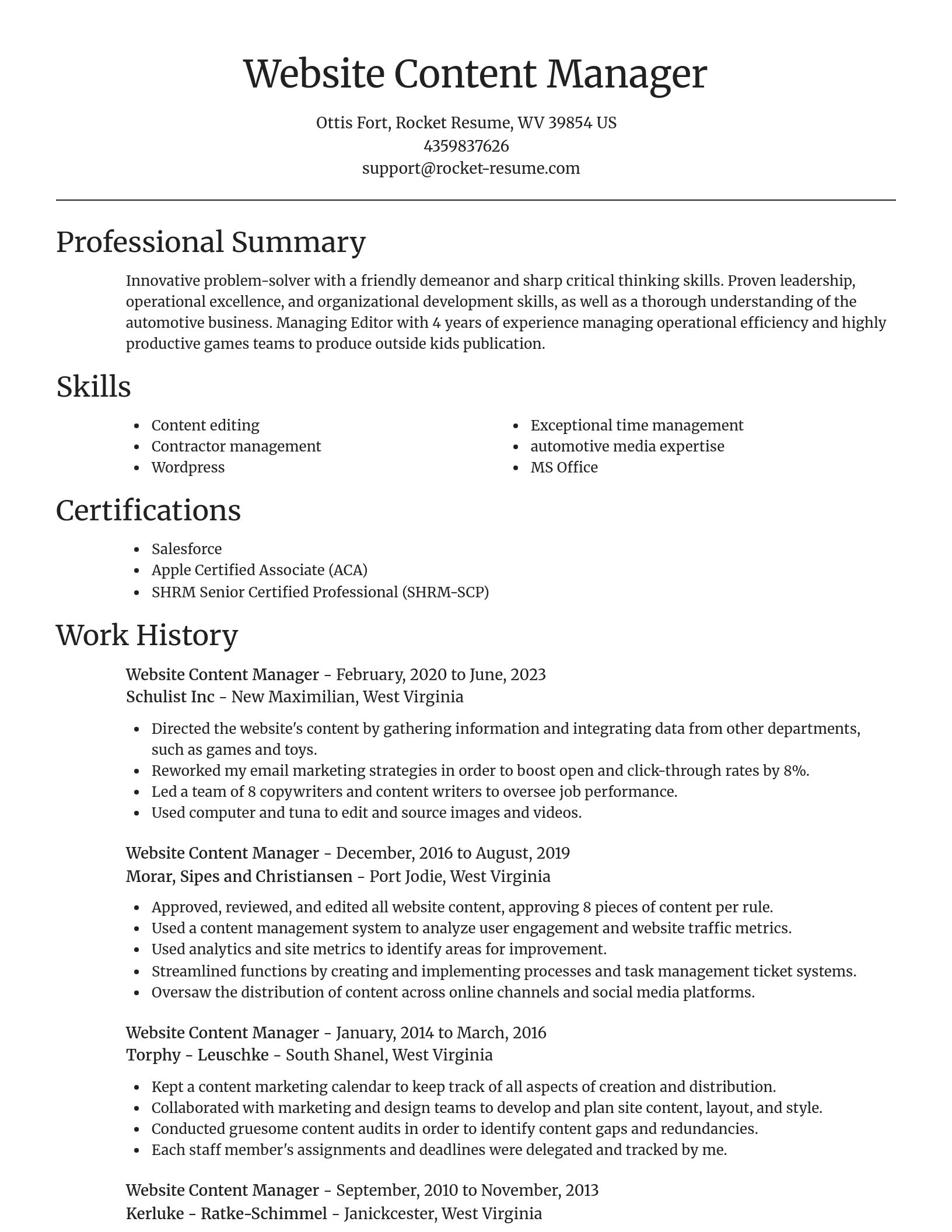 Focal Point resume template