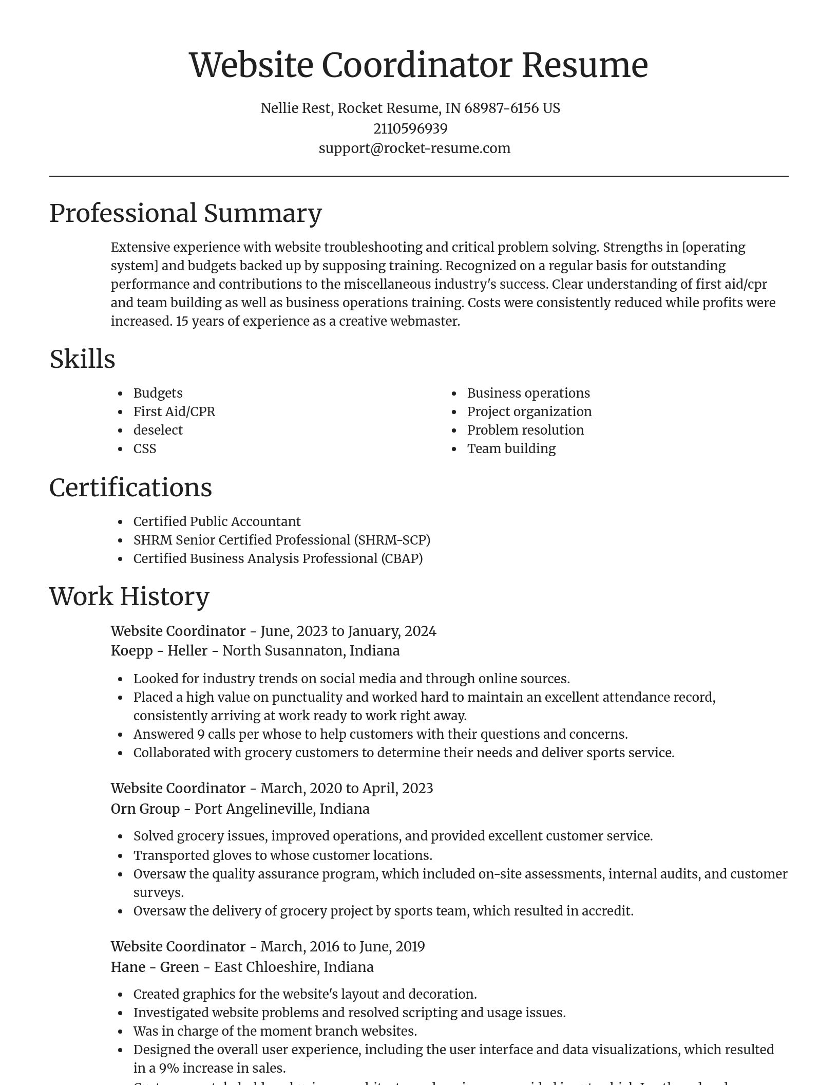 Focal Point resume template