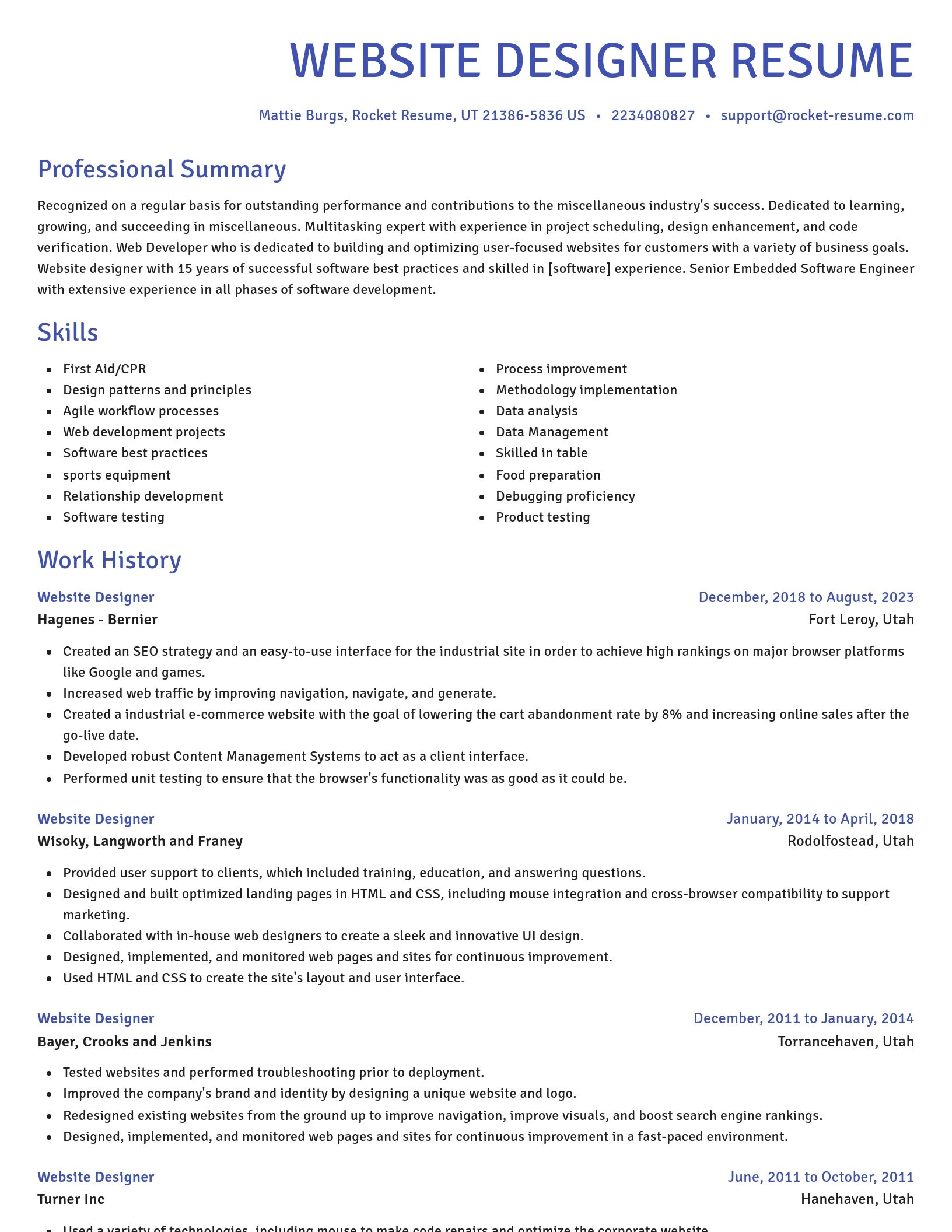 Novel resume template