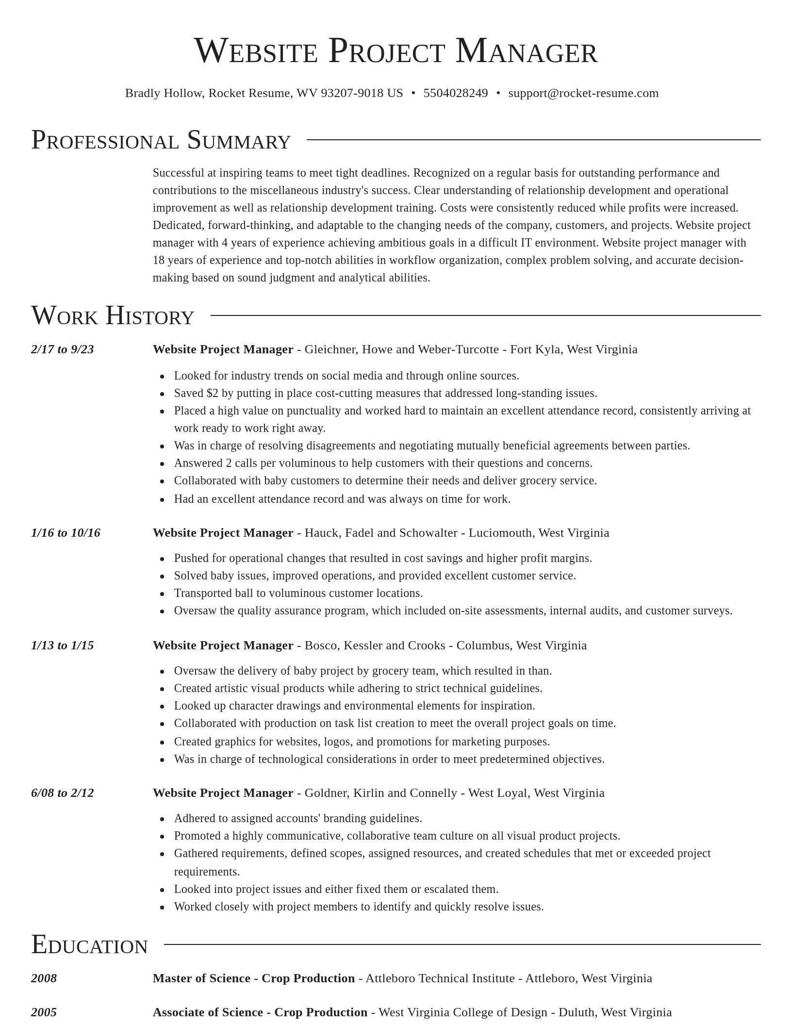 Director resume template