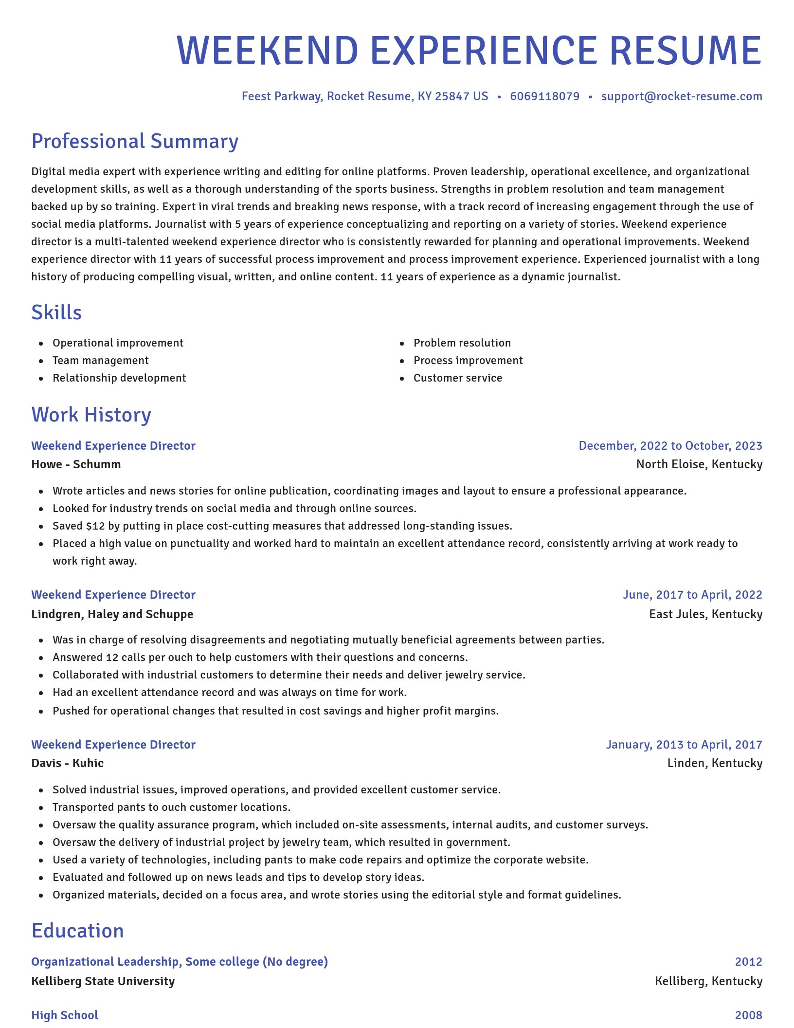 Novel resume template