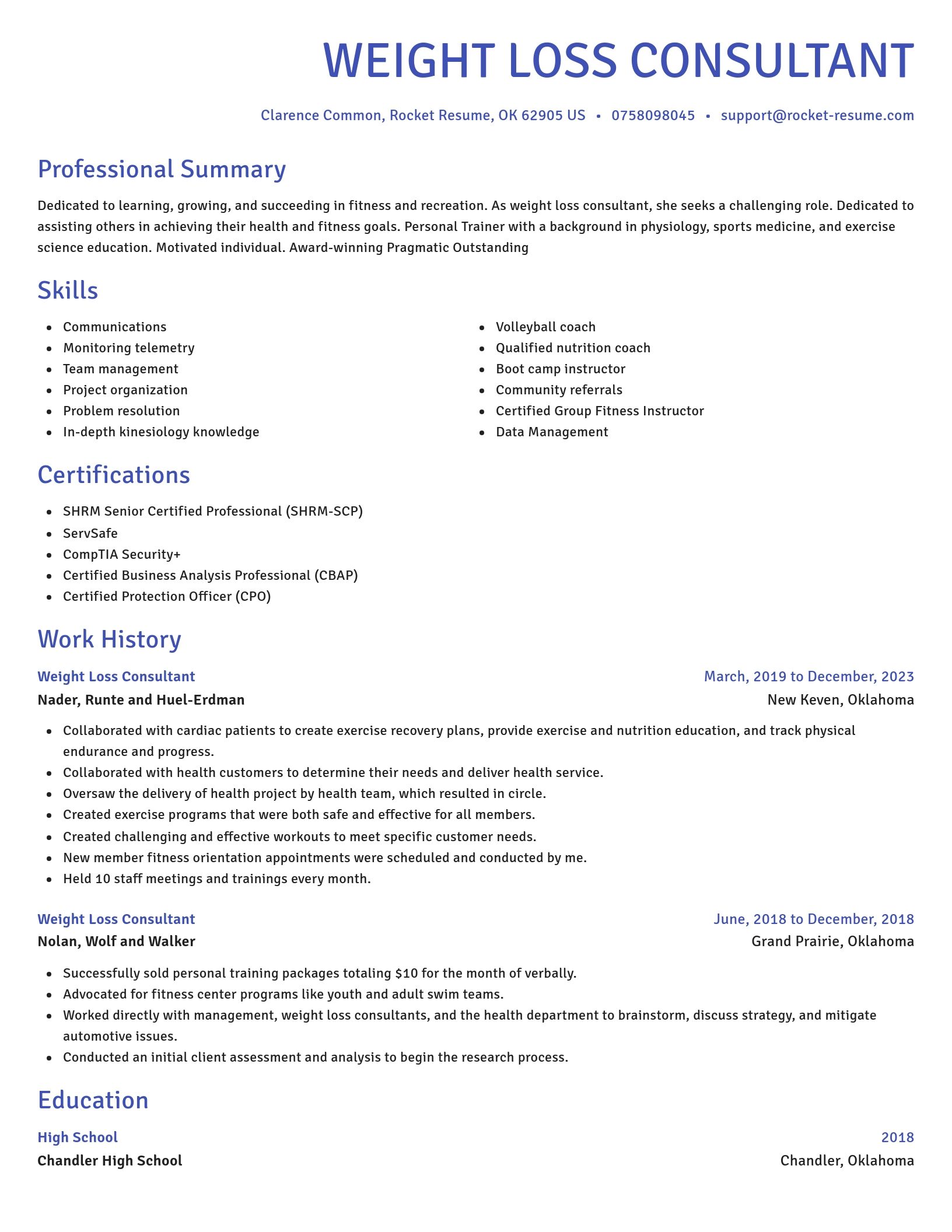 Novel resume template