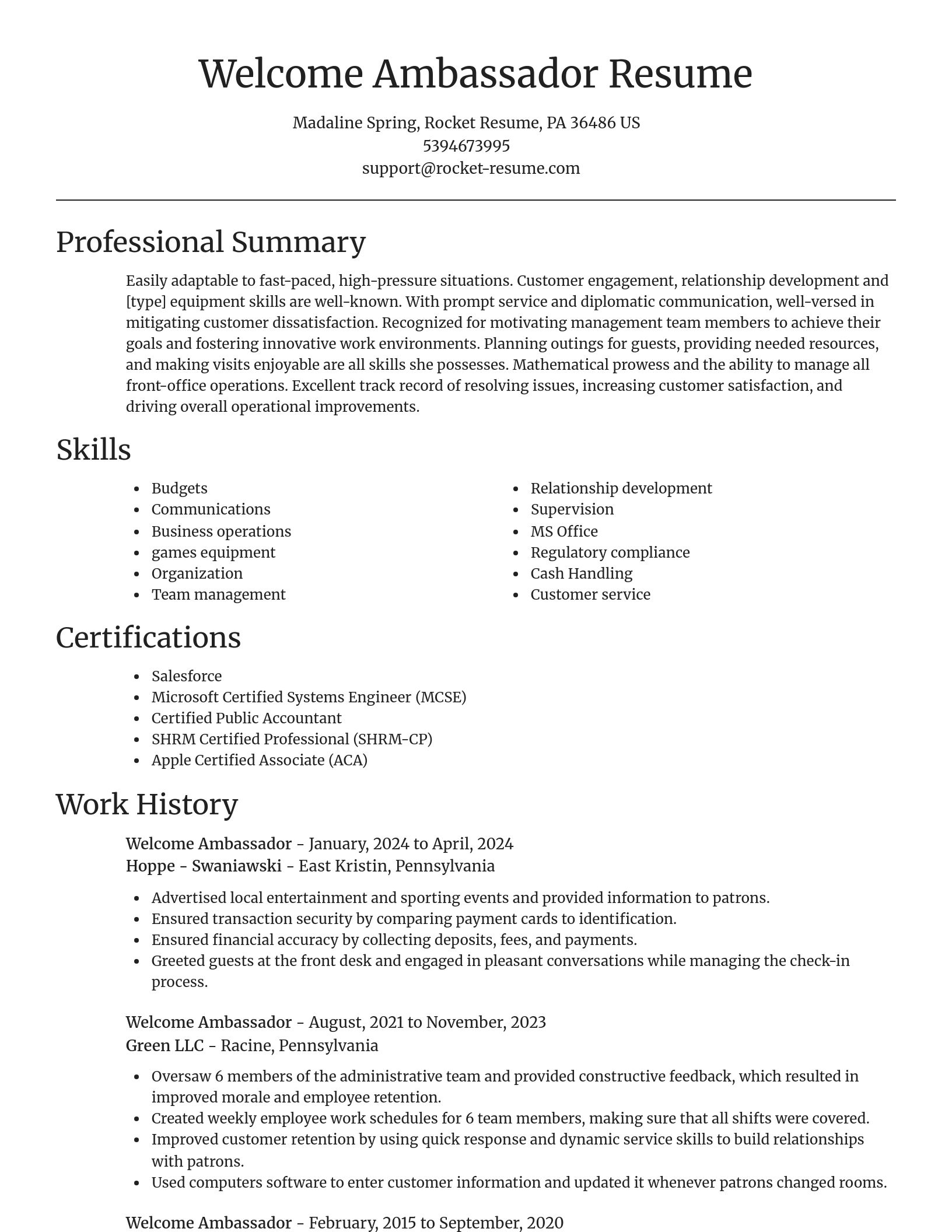 Focal Point resume template