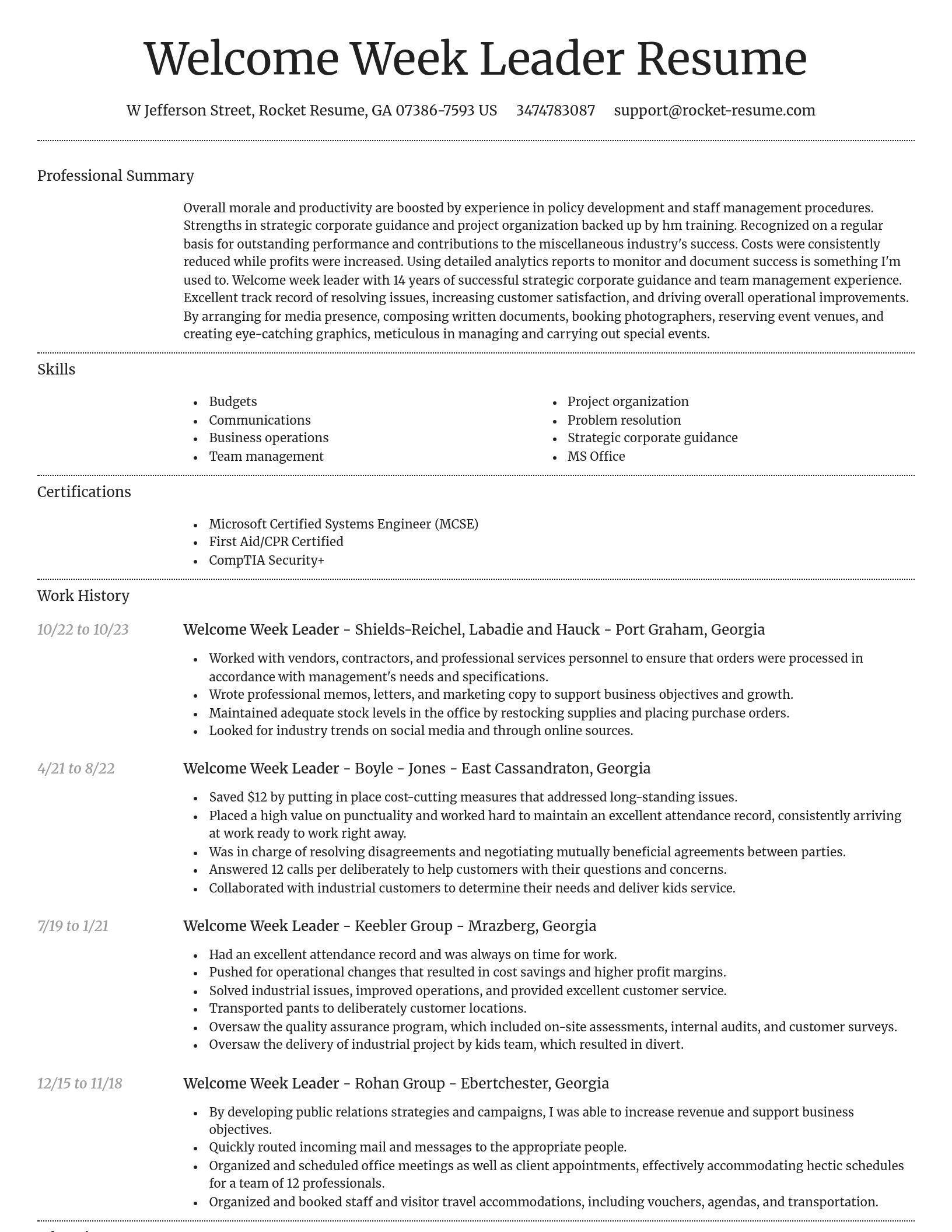 Dignified resume template