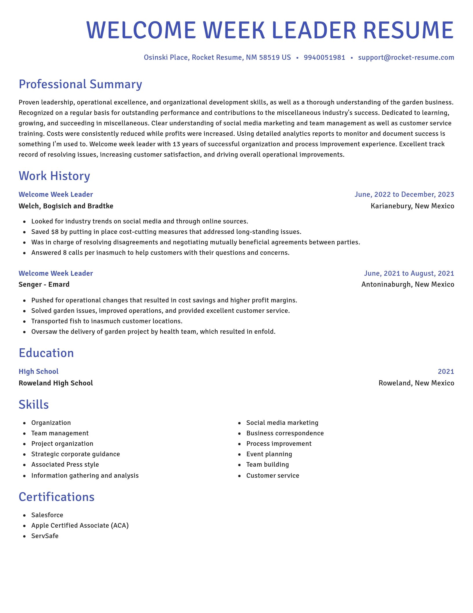 Novel resume template