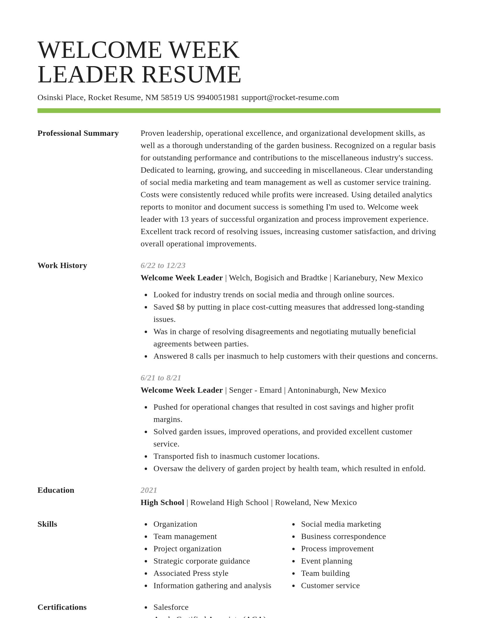 Smart resume template