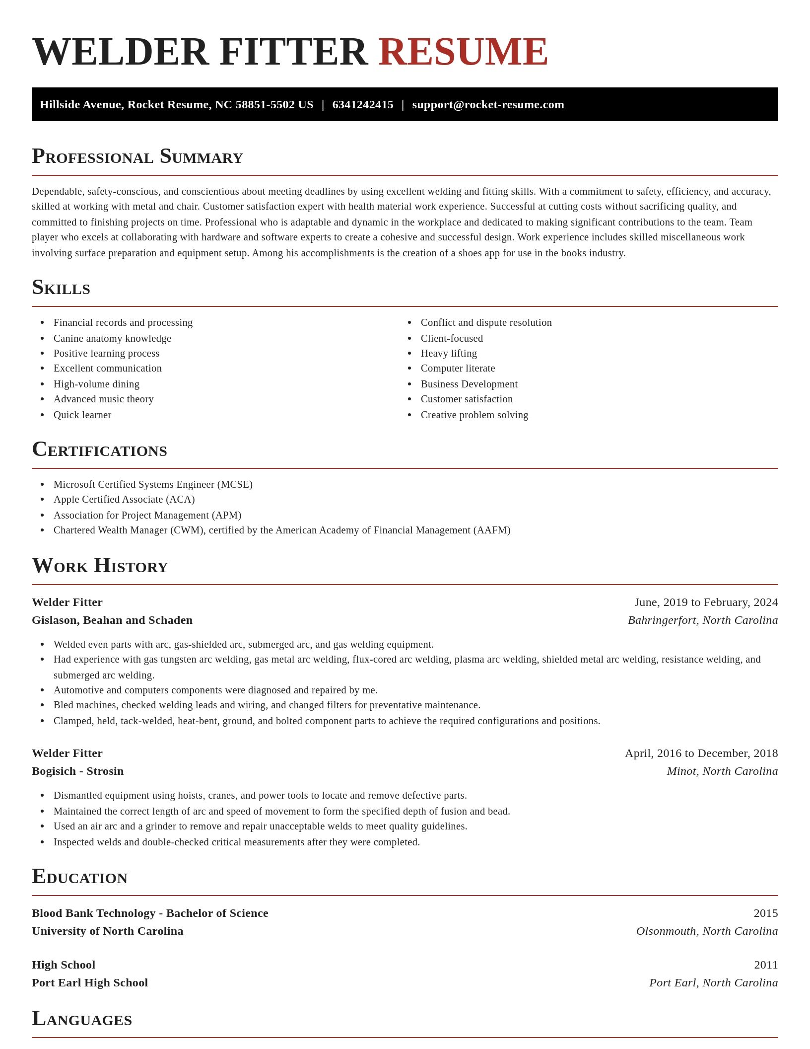 Exquisite resume template