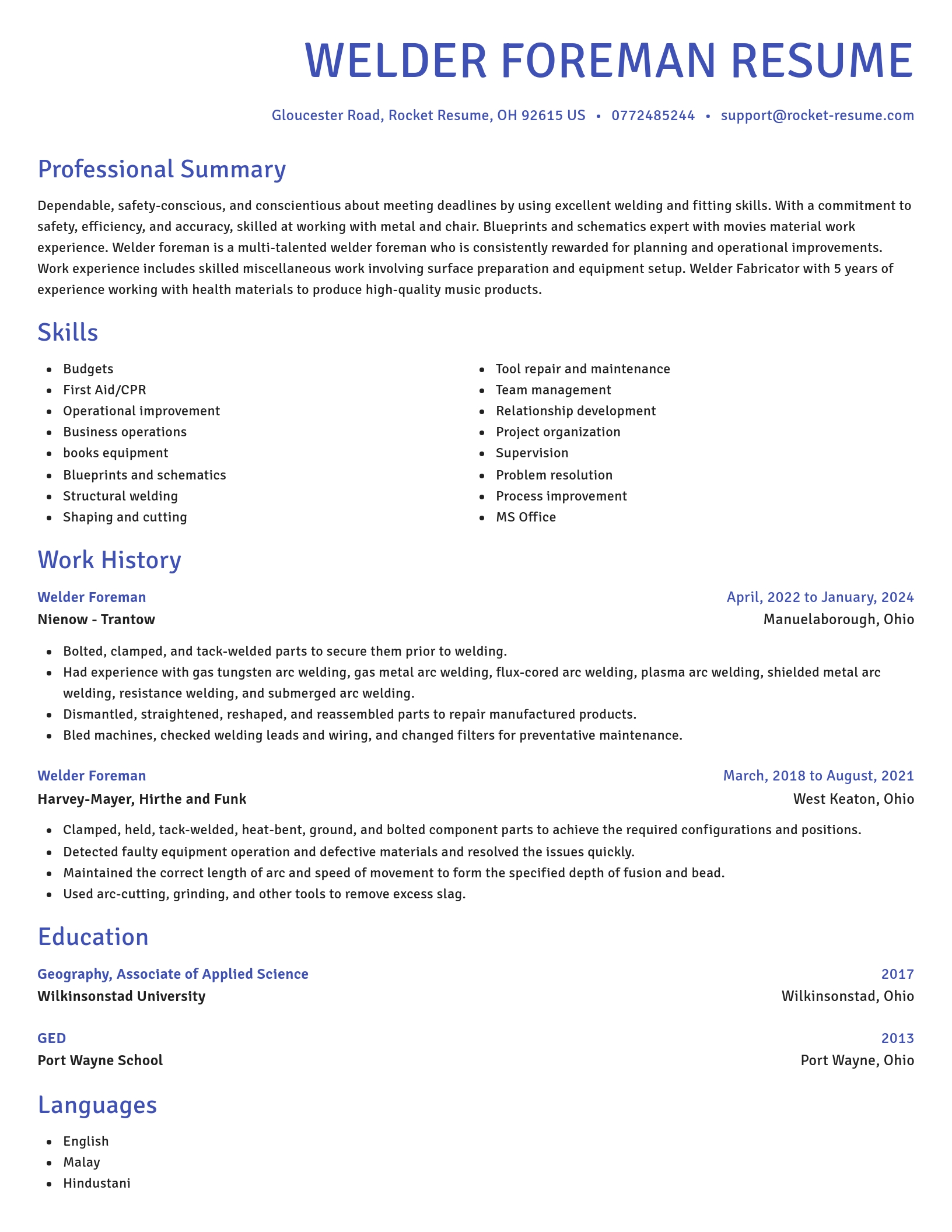Novel resume template