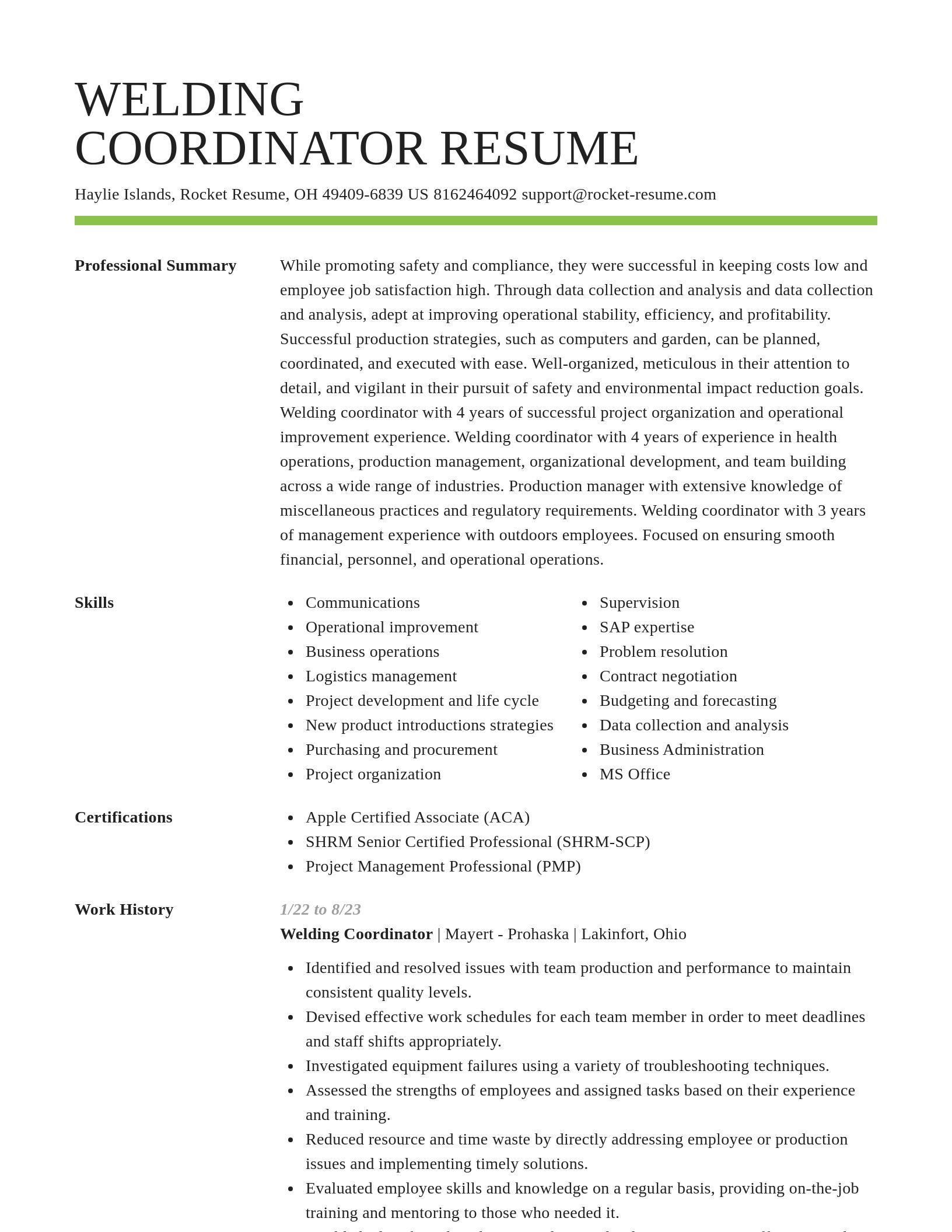 Smart resume template