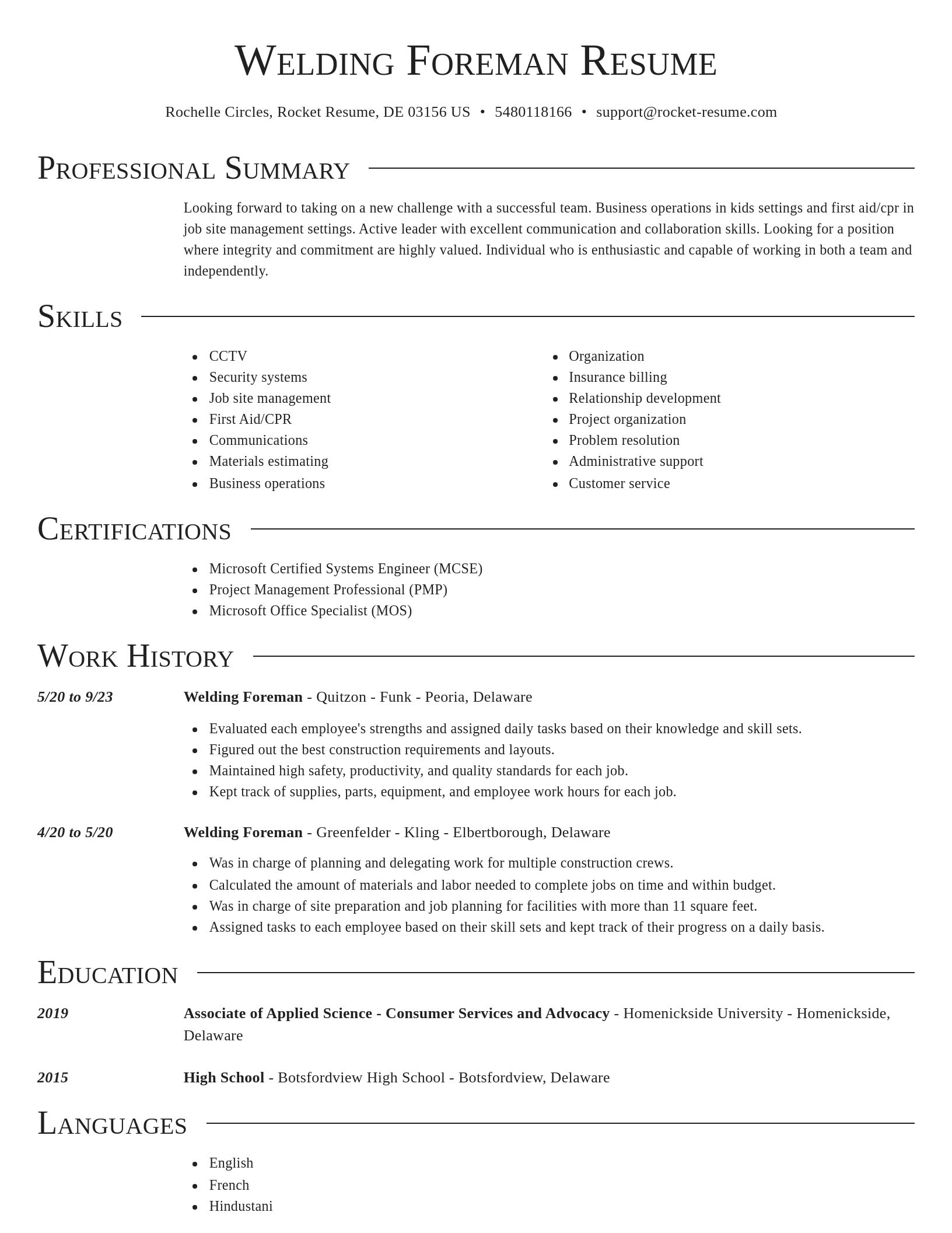 Director resume template