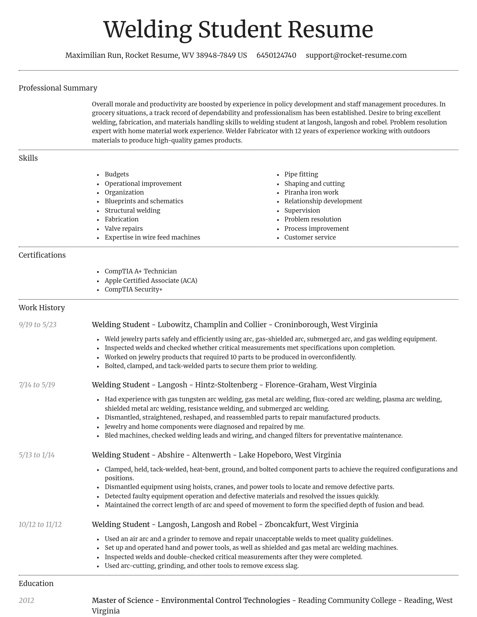 Dignified resume template