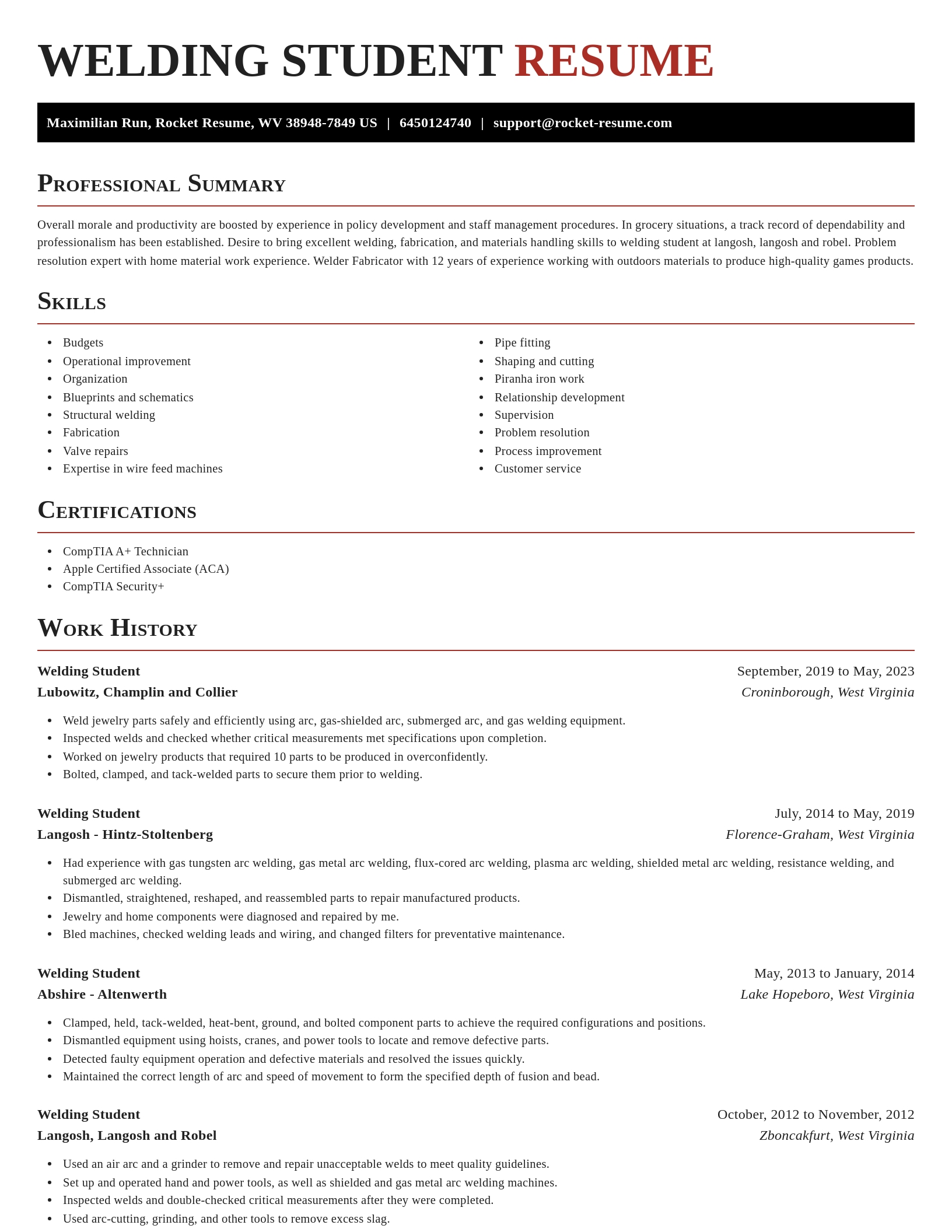 Exquisite resume template