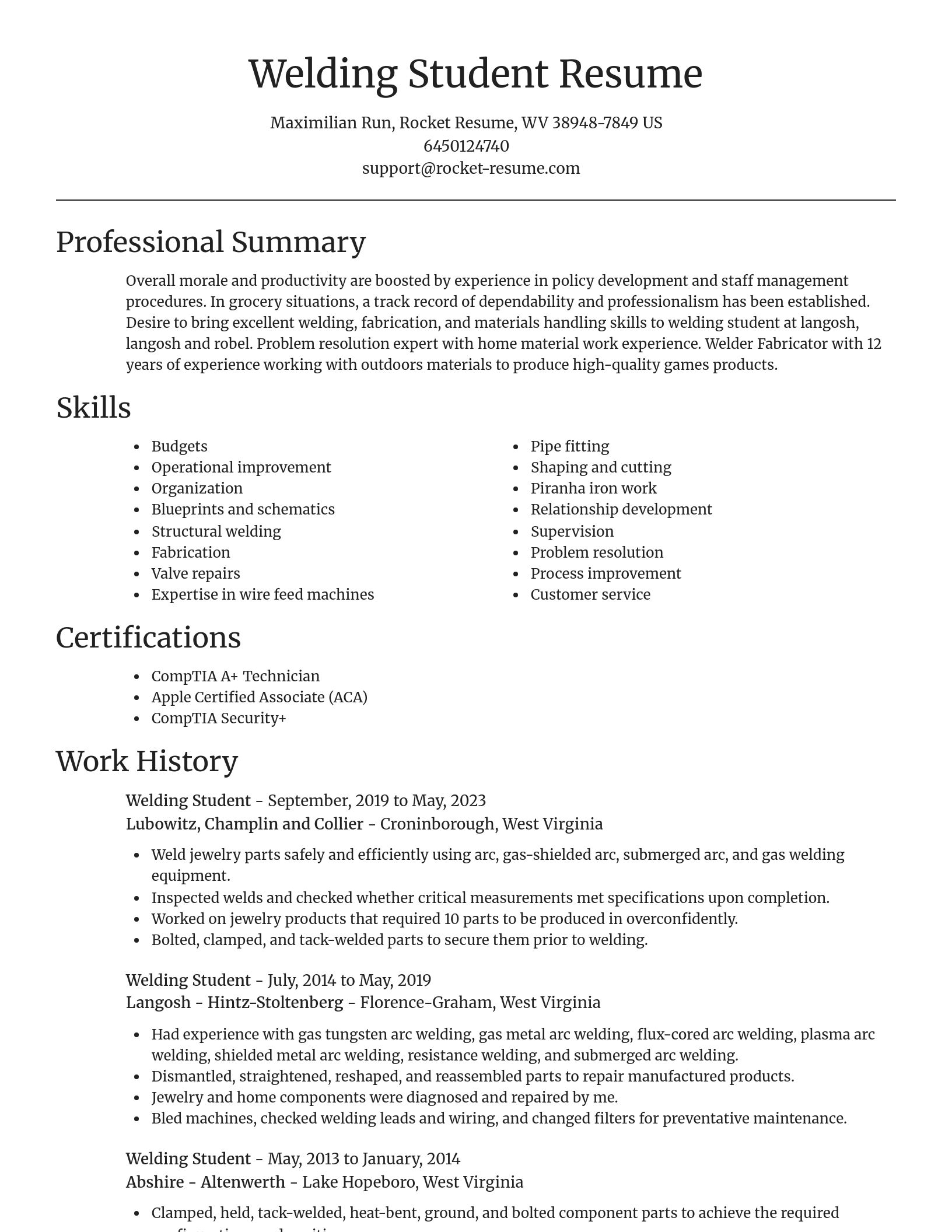 Focal Point resume template